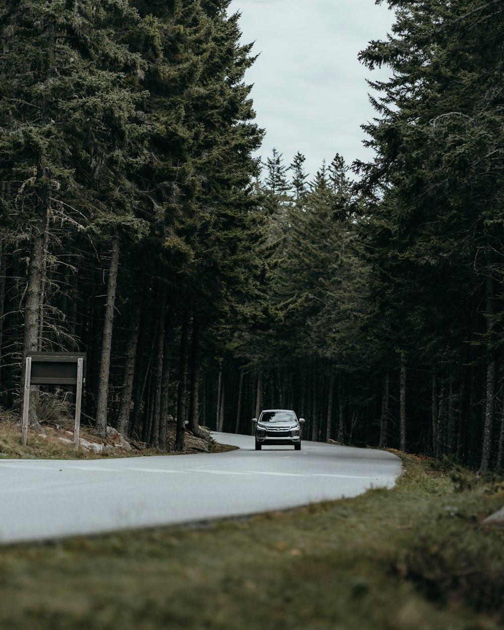 a car driving down a road surrounded by trees