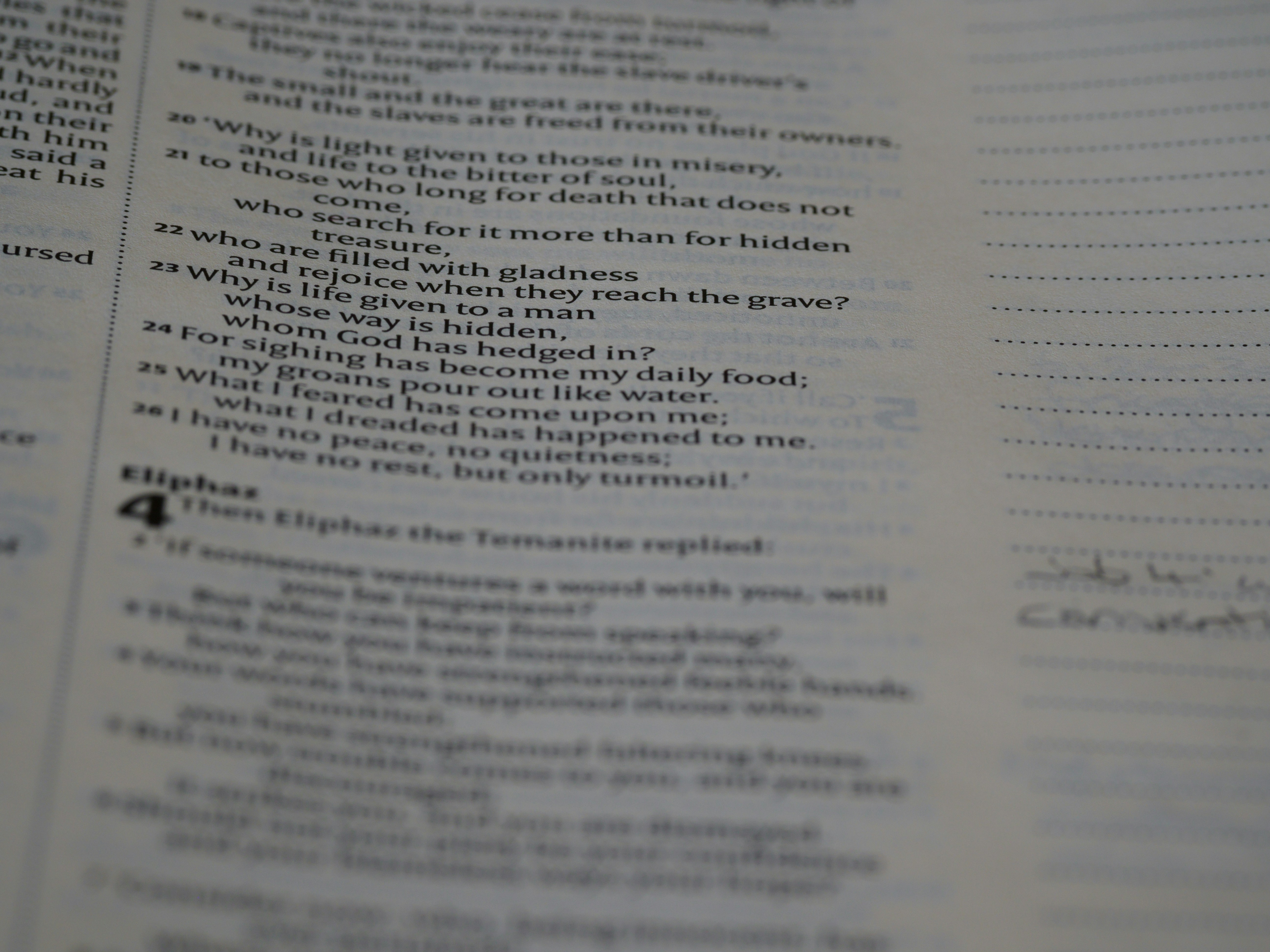 Photo by brett_jordan