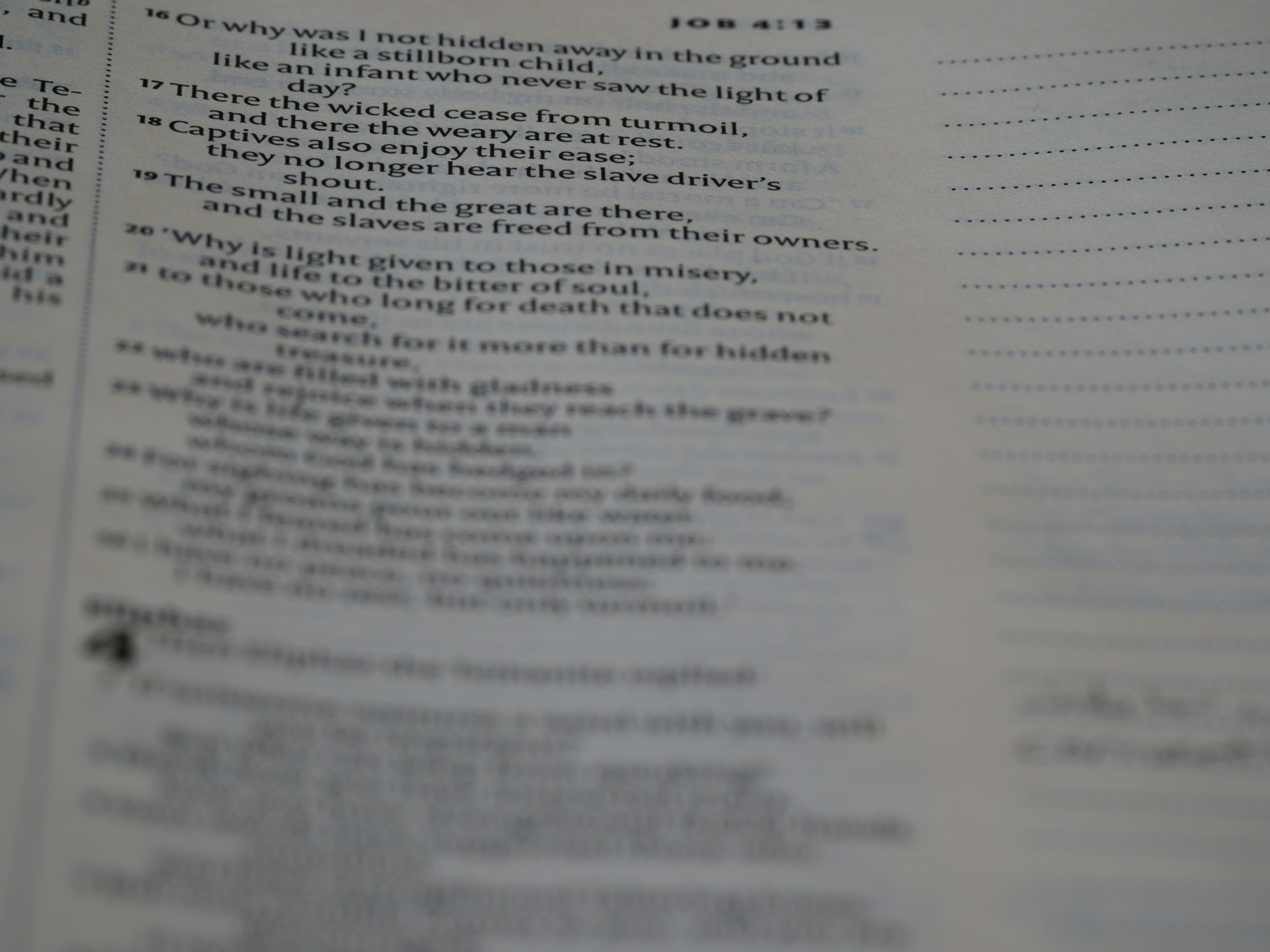 Photo by brett_jordan