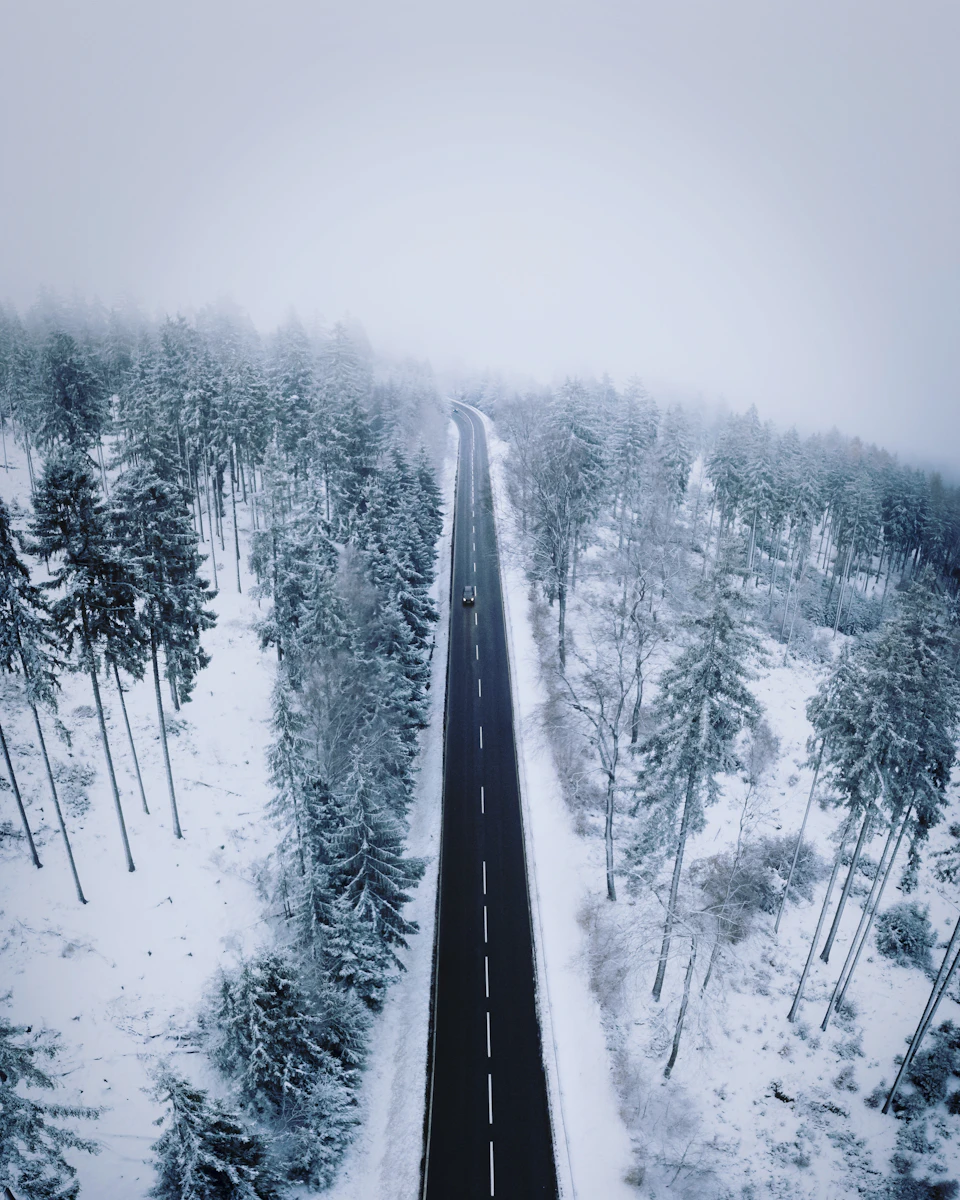 Snow-covered road stretches through forested area under overcast sky with trees on both sides