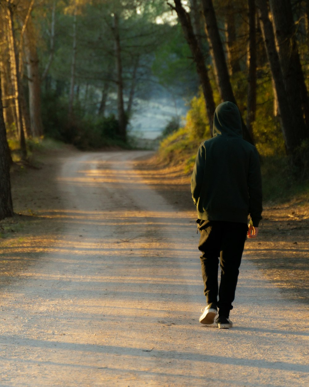 a person walking down a road in the woods