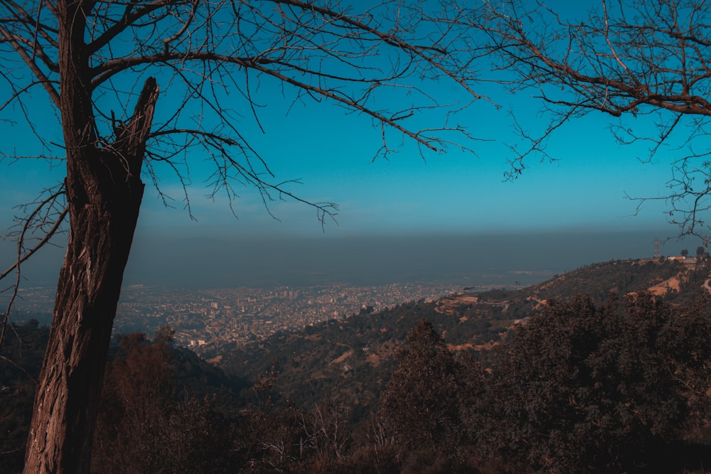 a view of a city from the top of a hill