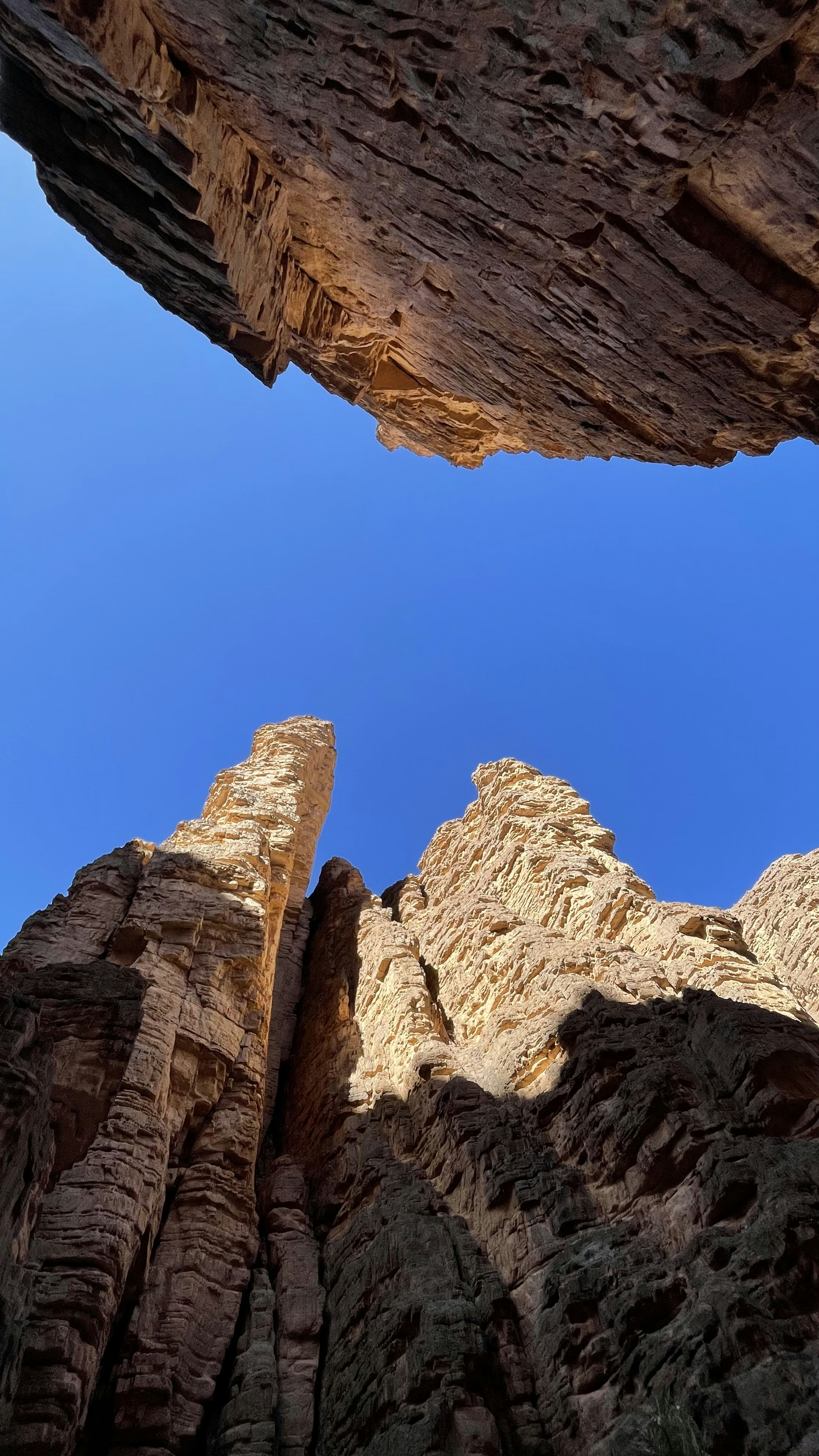 Photo by ibrahimphotos