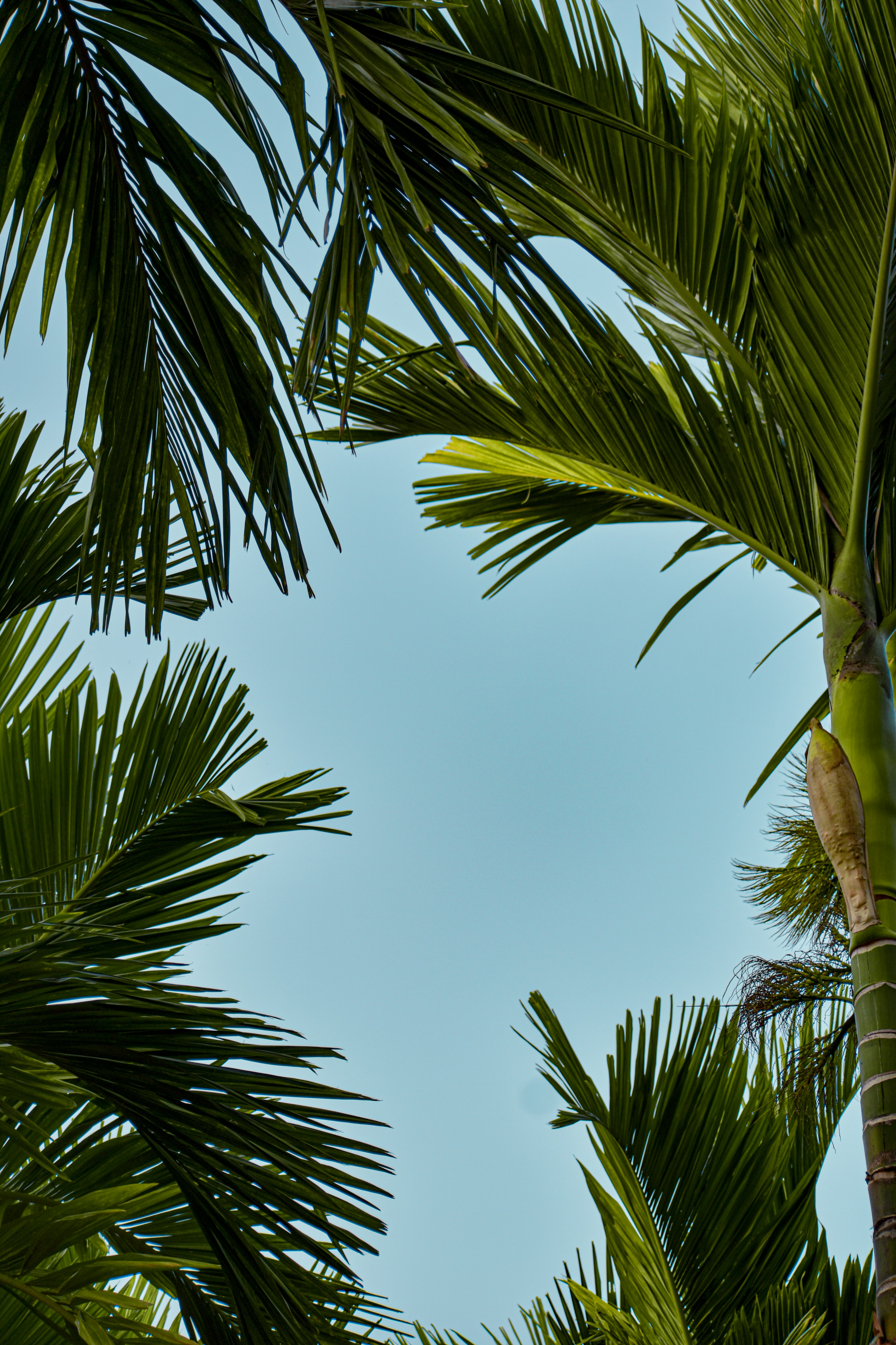 Photo by aditya_ghodke