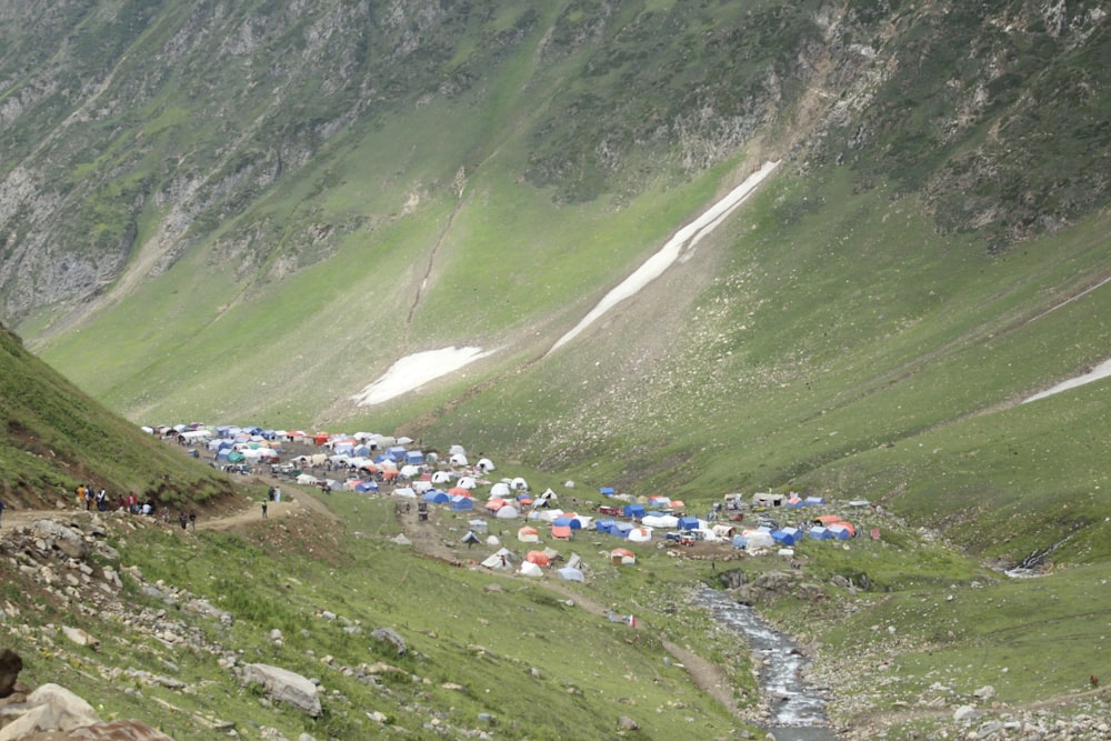 a group of people standing on top of a lush green hillside