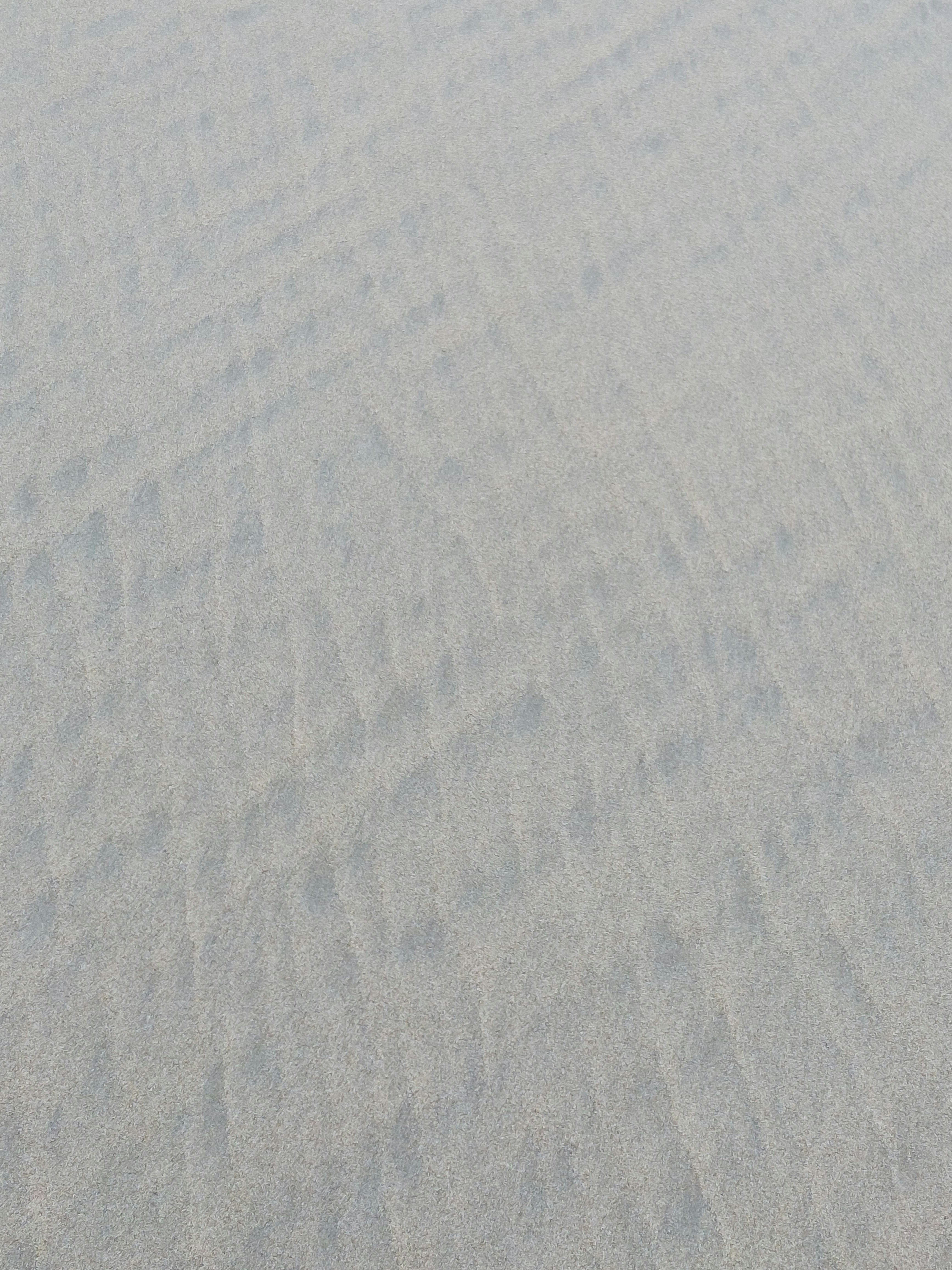 Photo by lamartine55