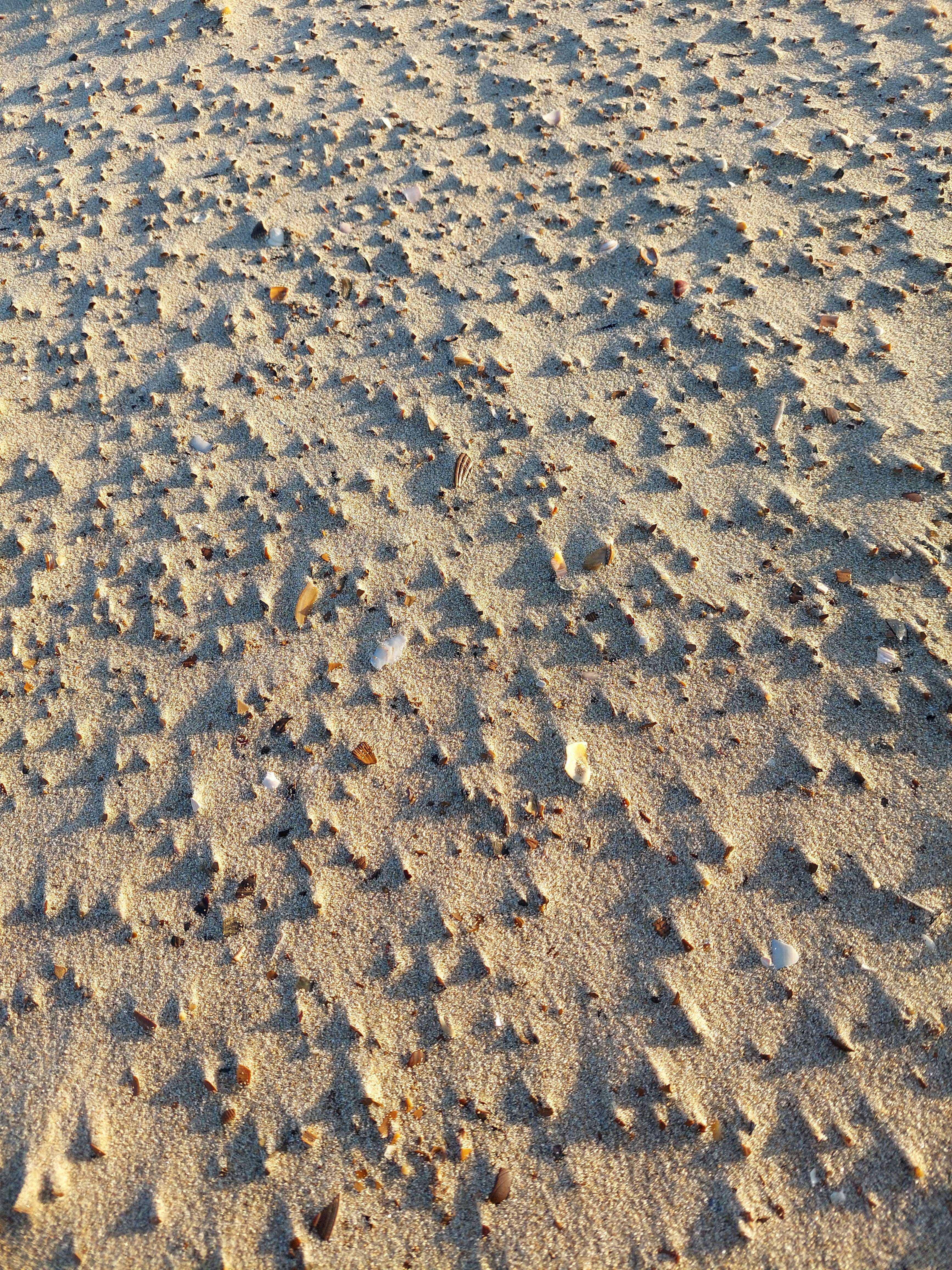 Photo by lamartine55