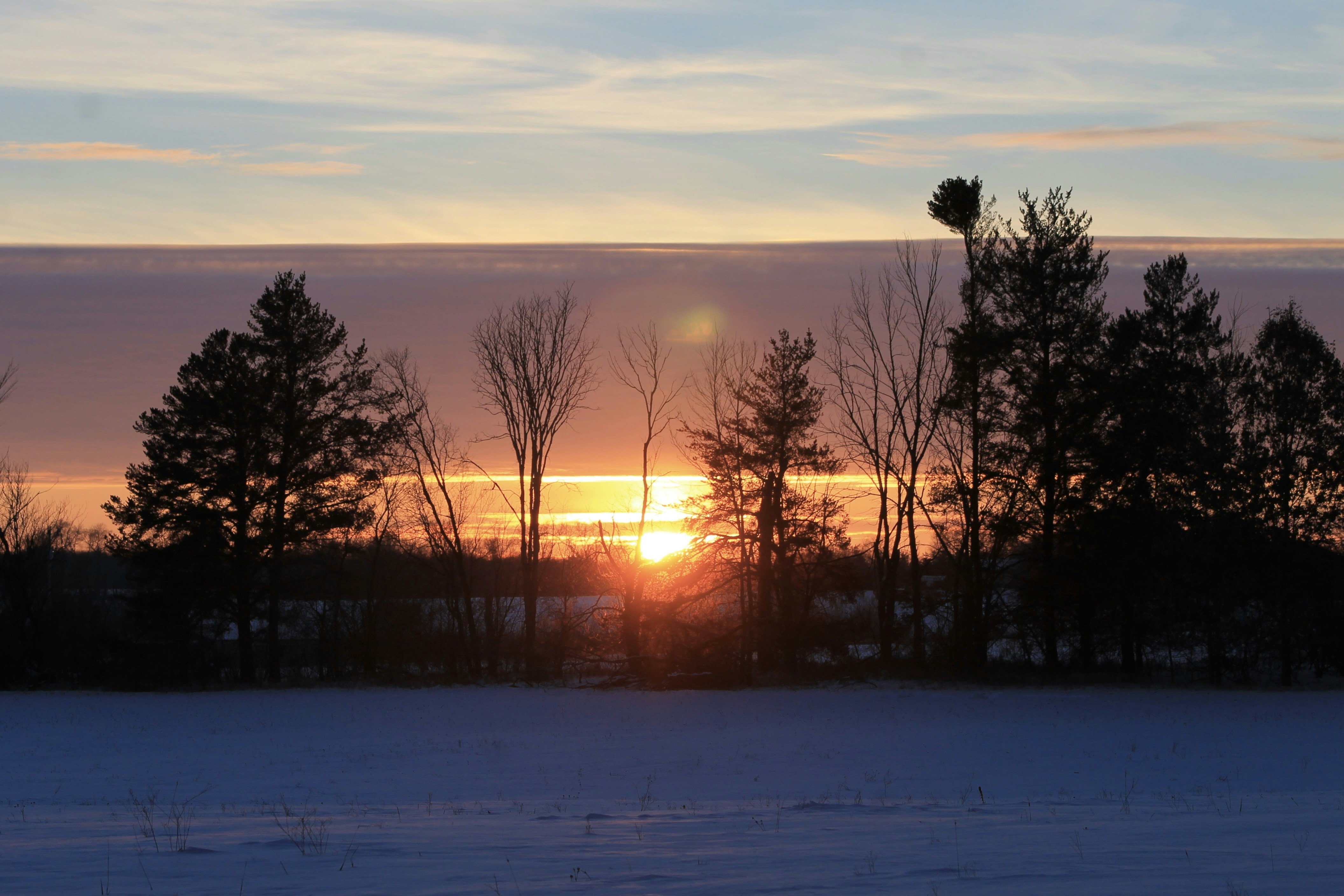 Photo by joyflowerphotography