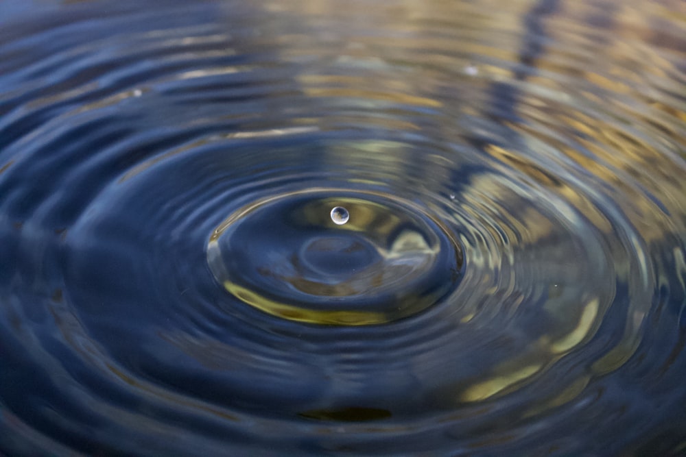 a close up of a water drop in a pond