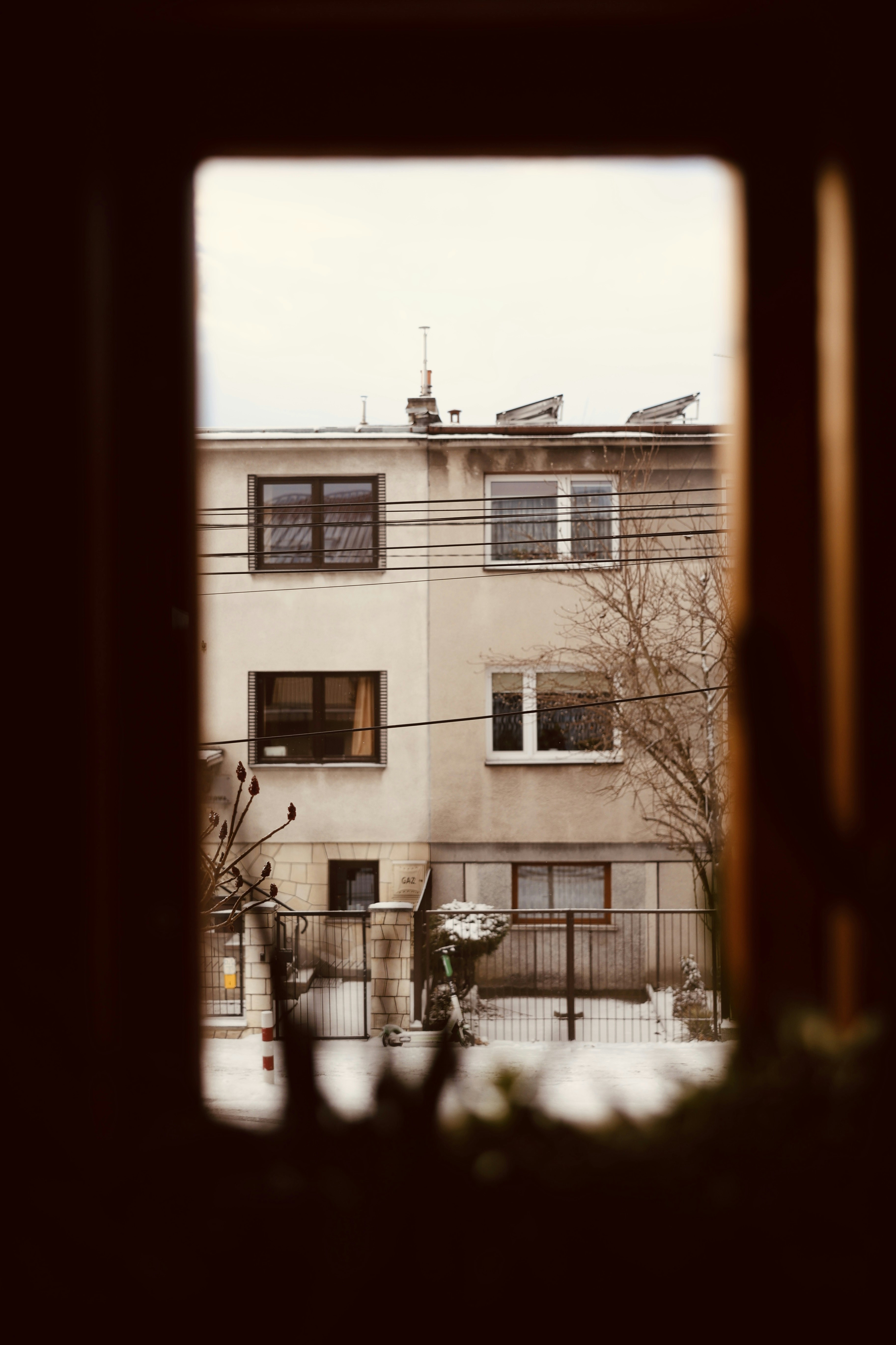 Photo by neoiggy