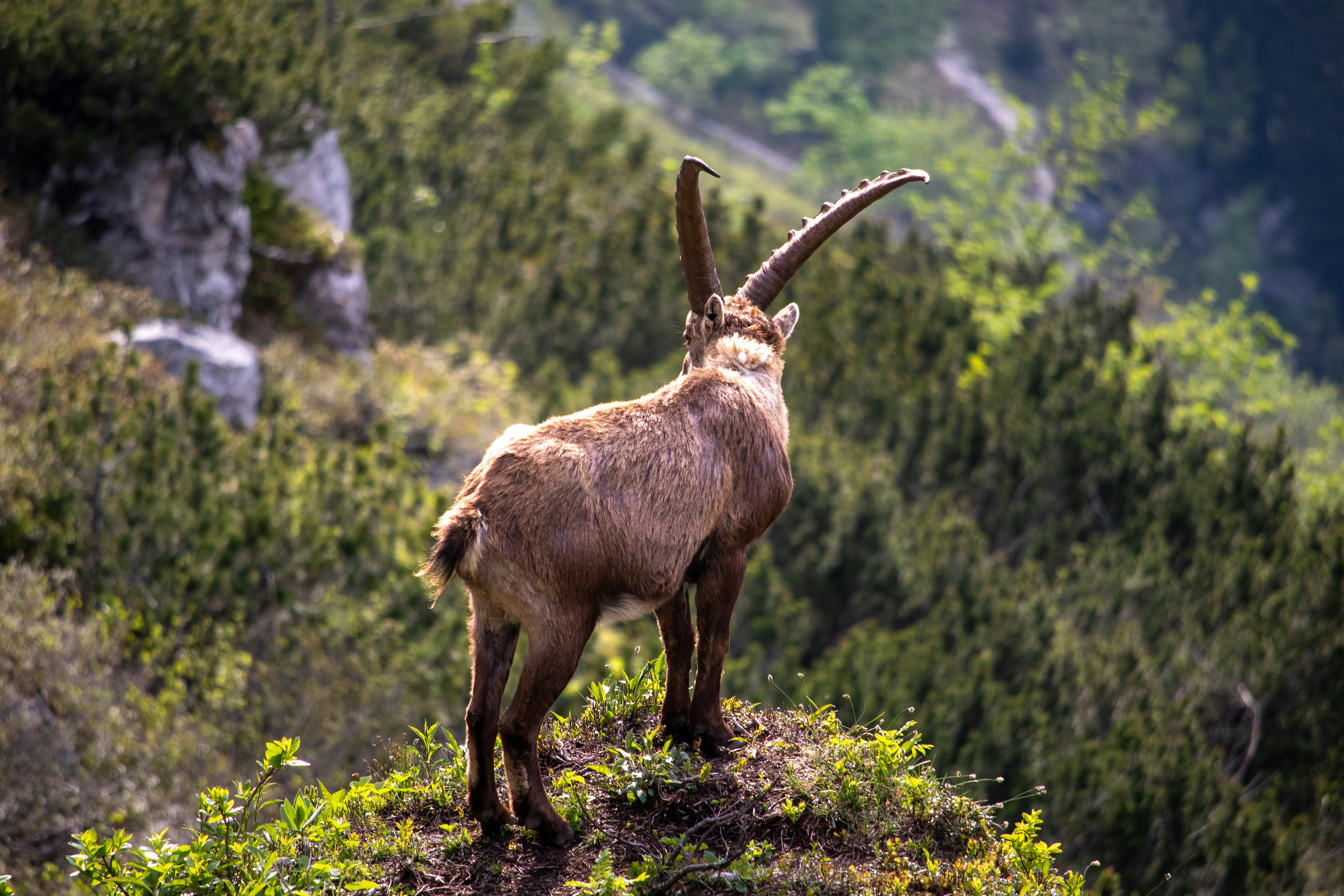 MarkHoor: Your Ultimate Guide