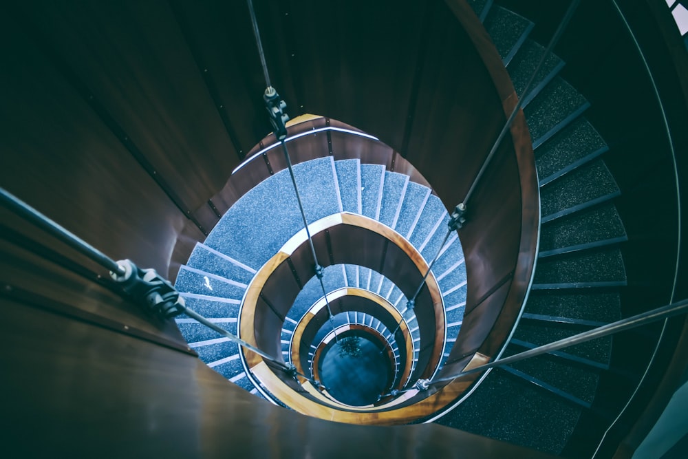 a spiral staircase in a building with blue carpet