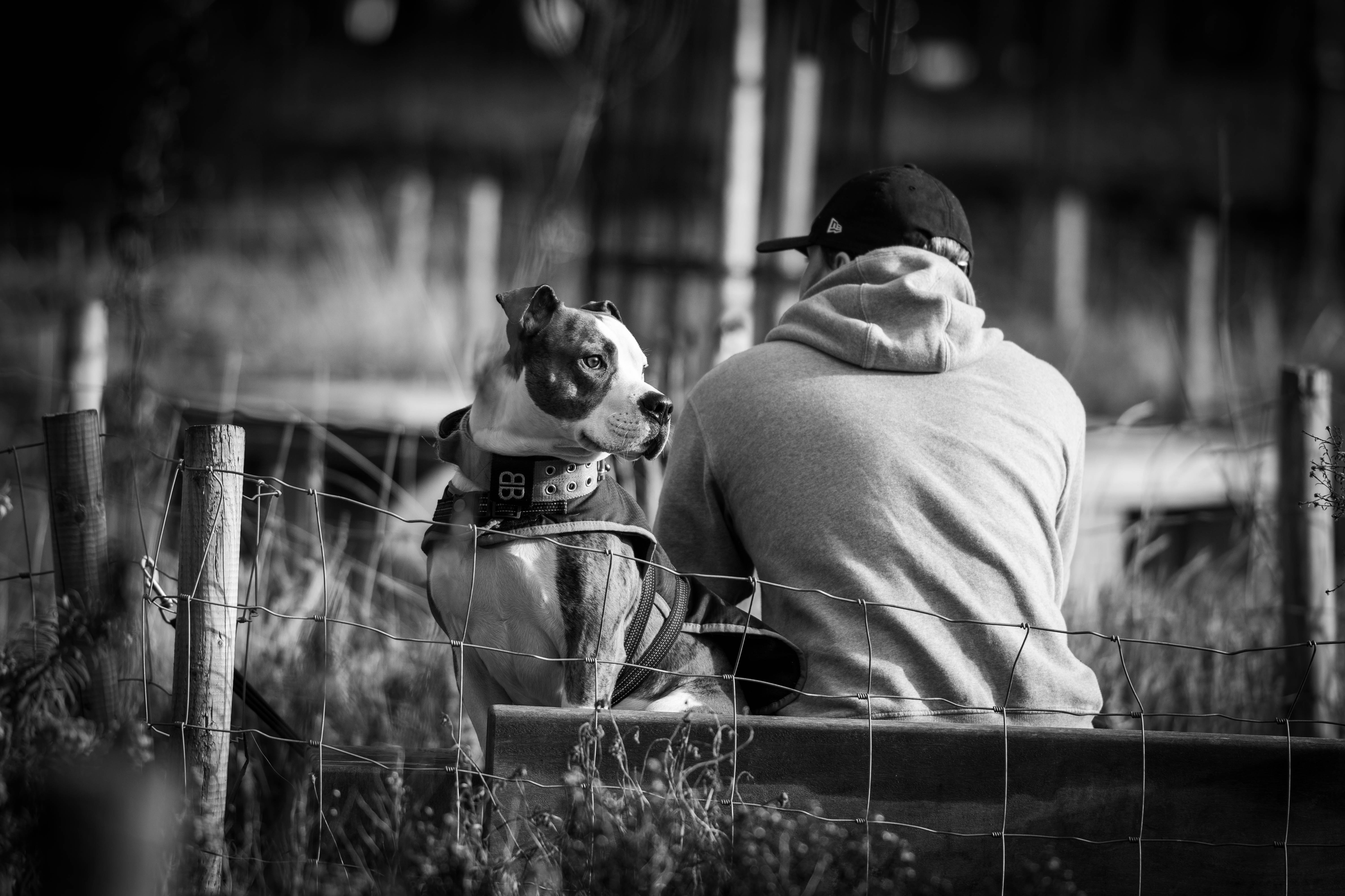 a man sitting on a bench next to a dog