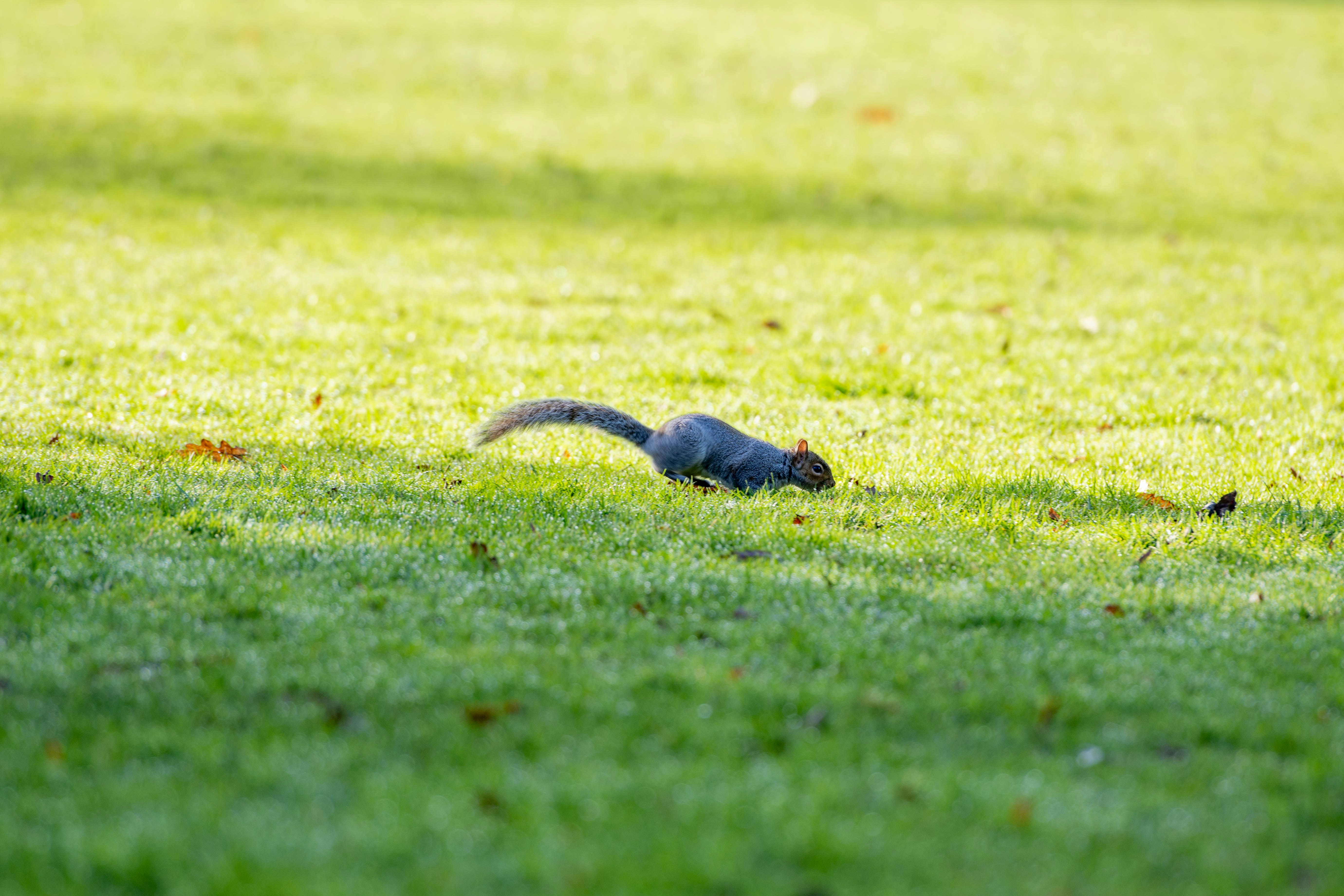 Photo by maplerockdesign