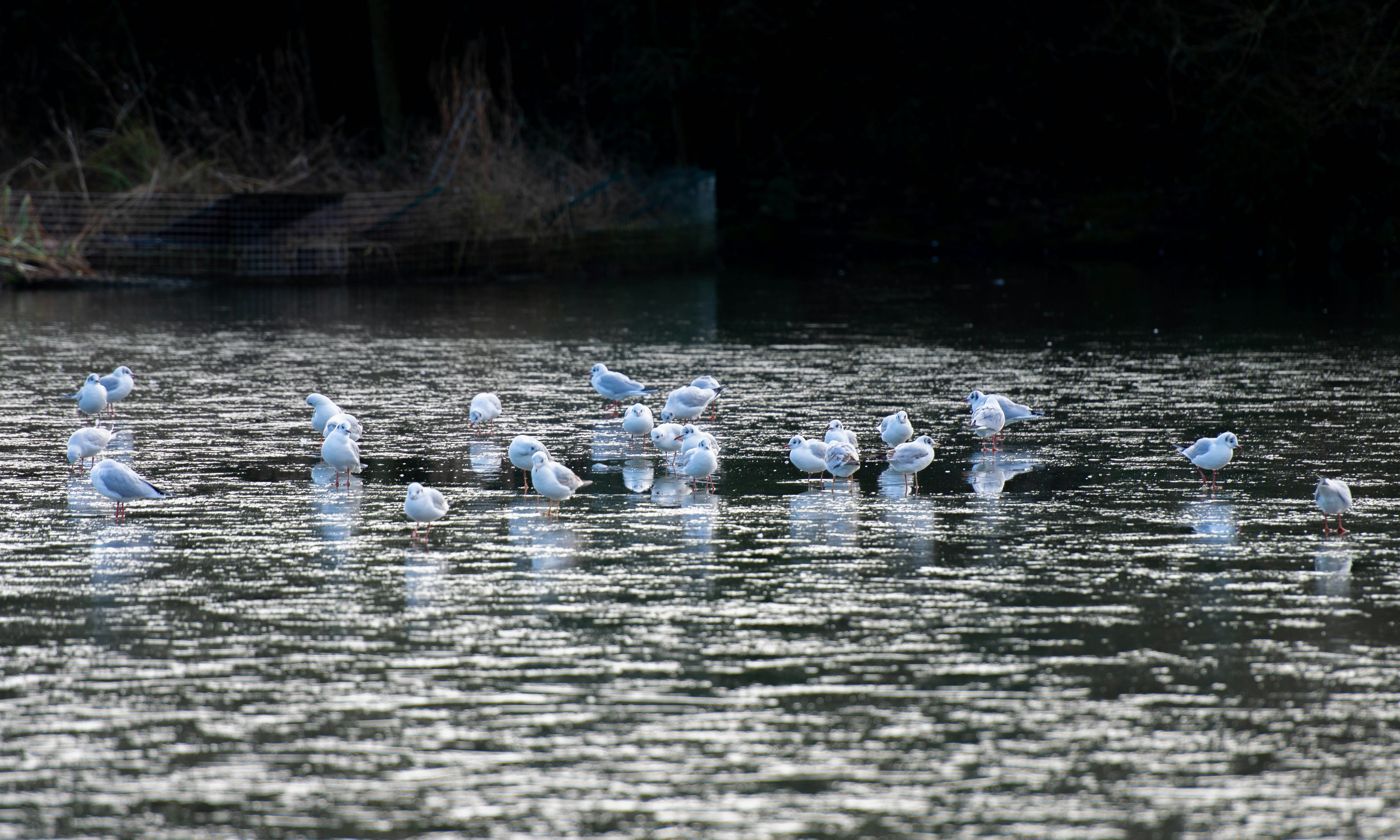 Photo by maplerockdesign