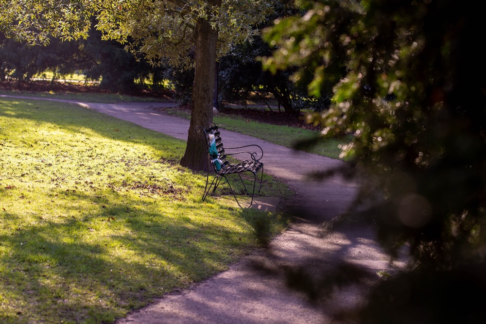 a person sitting on a park bench under a tree