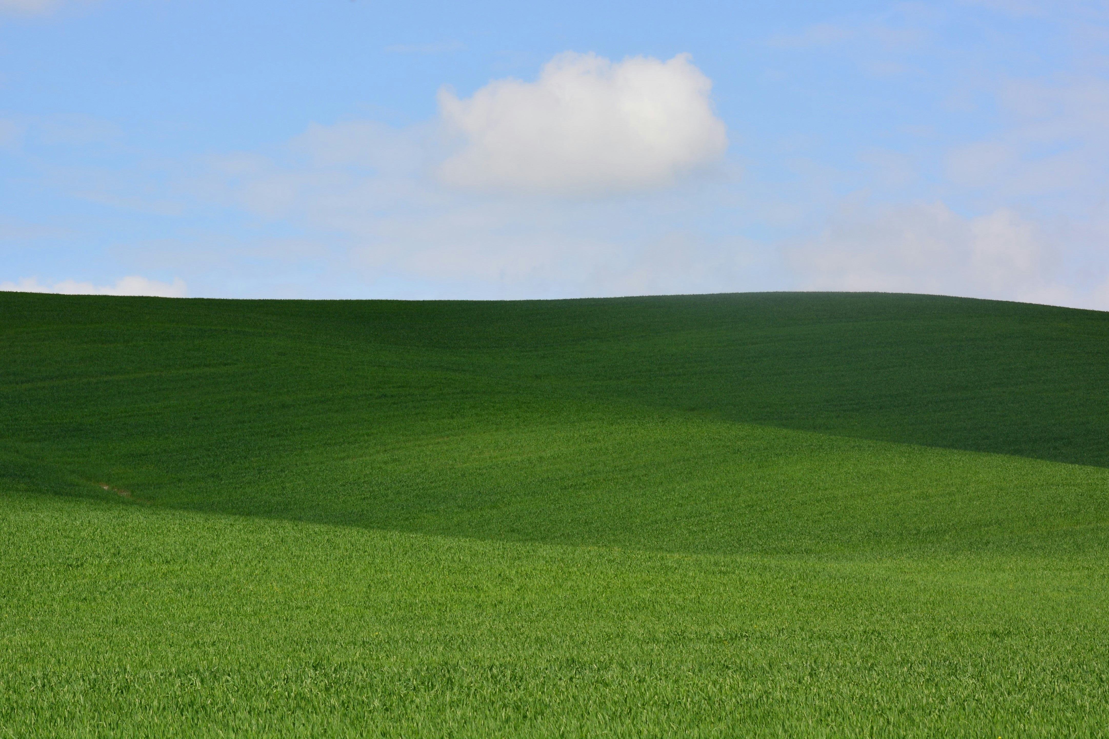 Photo by pedrino5_official