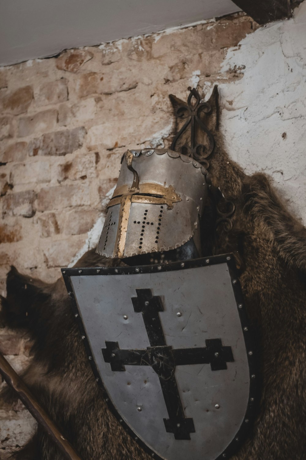 a cat sitting on top of a horse next to a shield