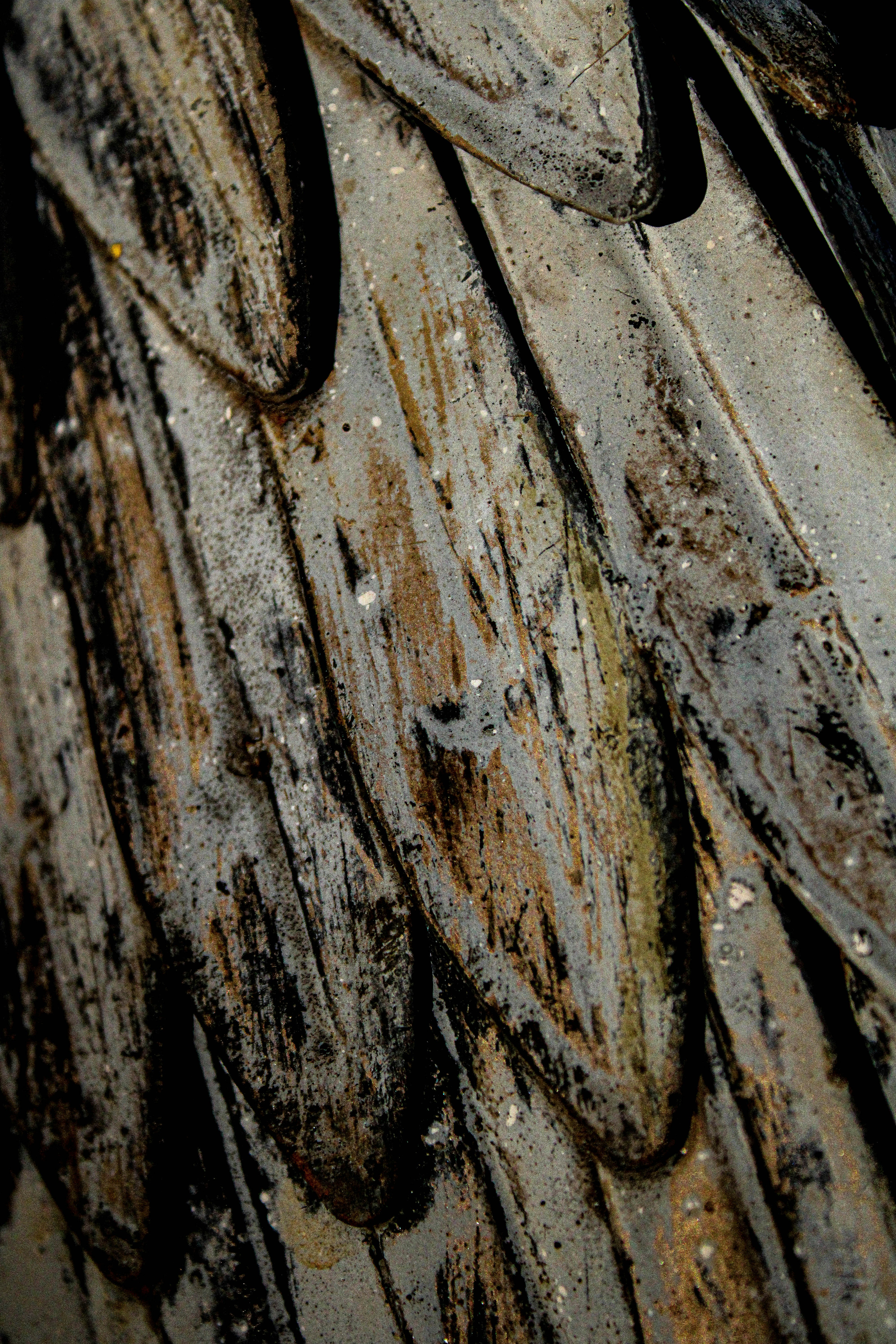 Photo by fisch_photography