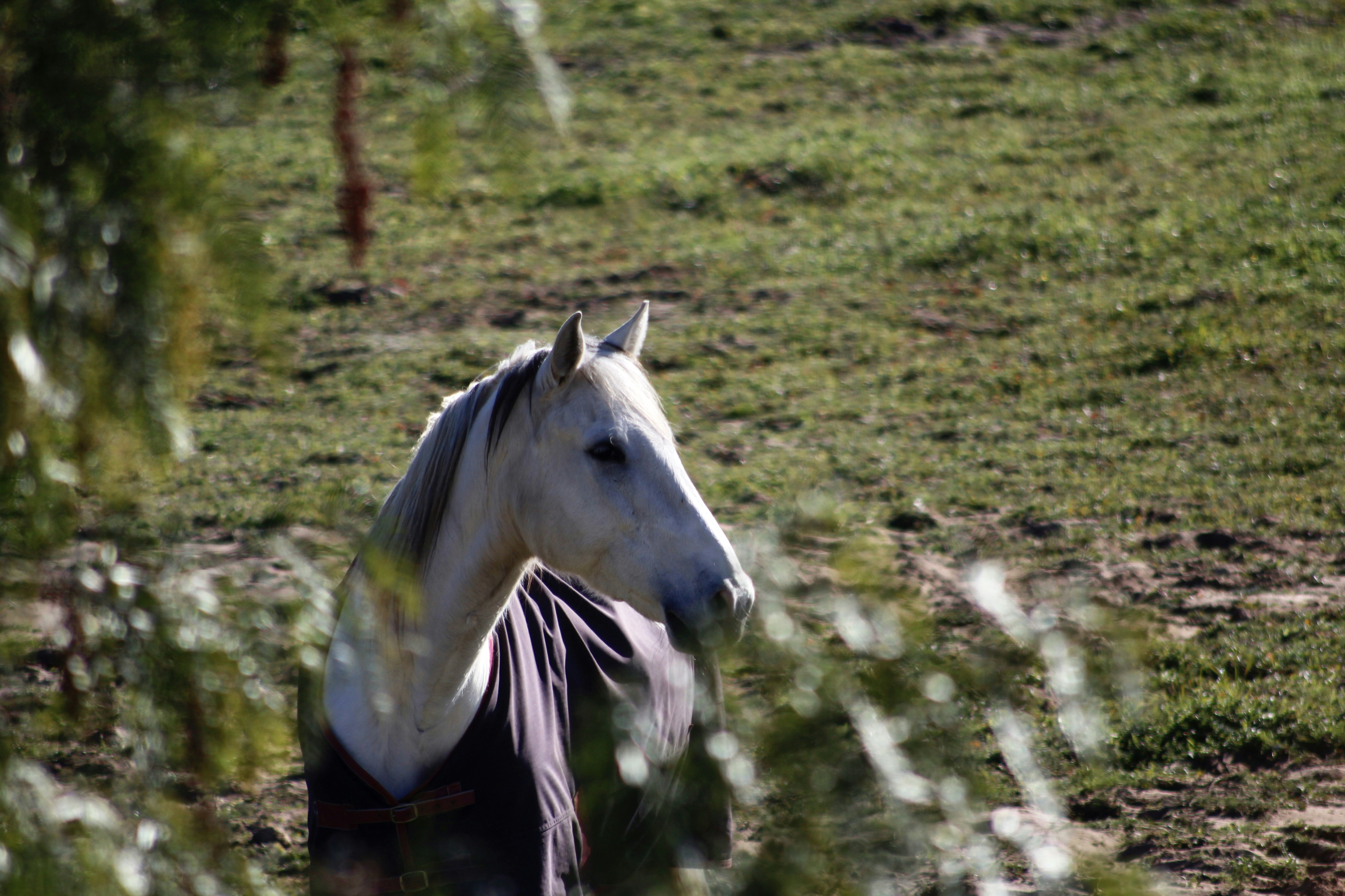 Photo by tomasevaristo