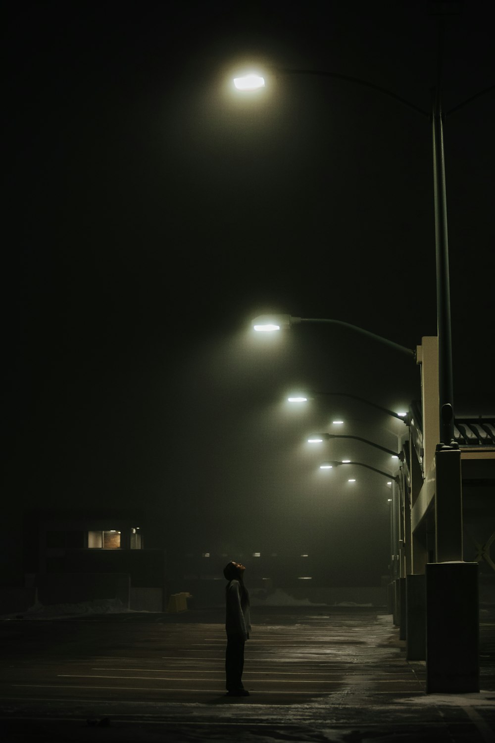 a person standing under a street light at night