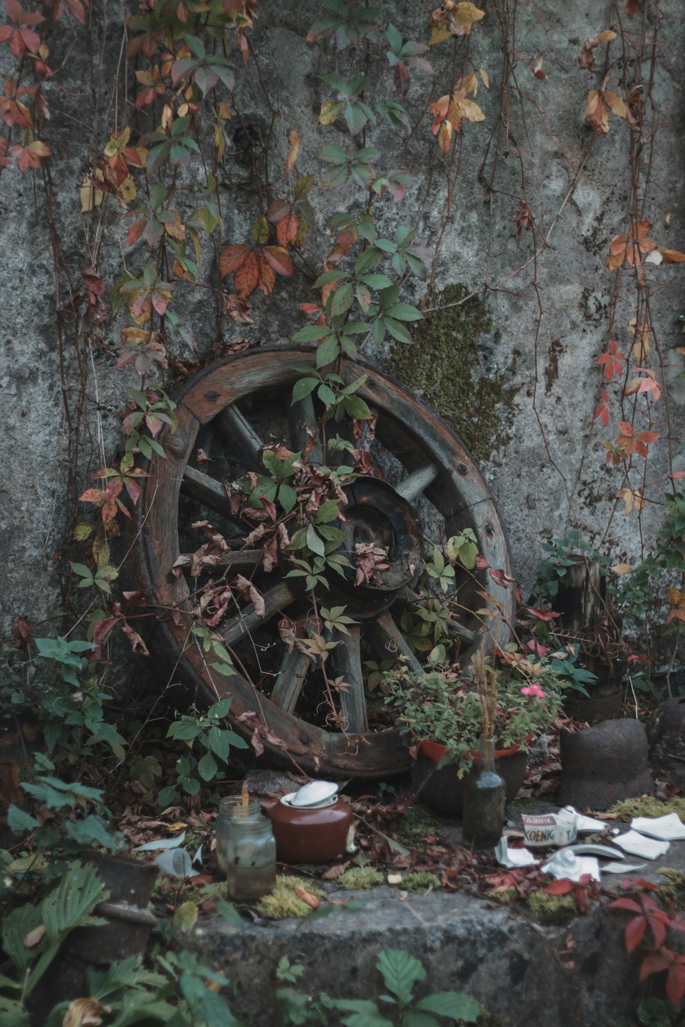 an old wheel surrounded by plants and pots