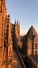 a view of a cathedral from a high point of view