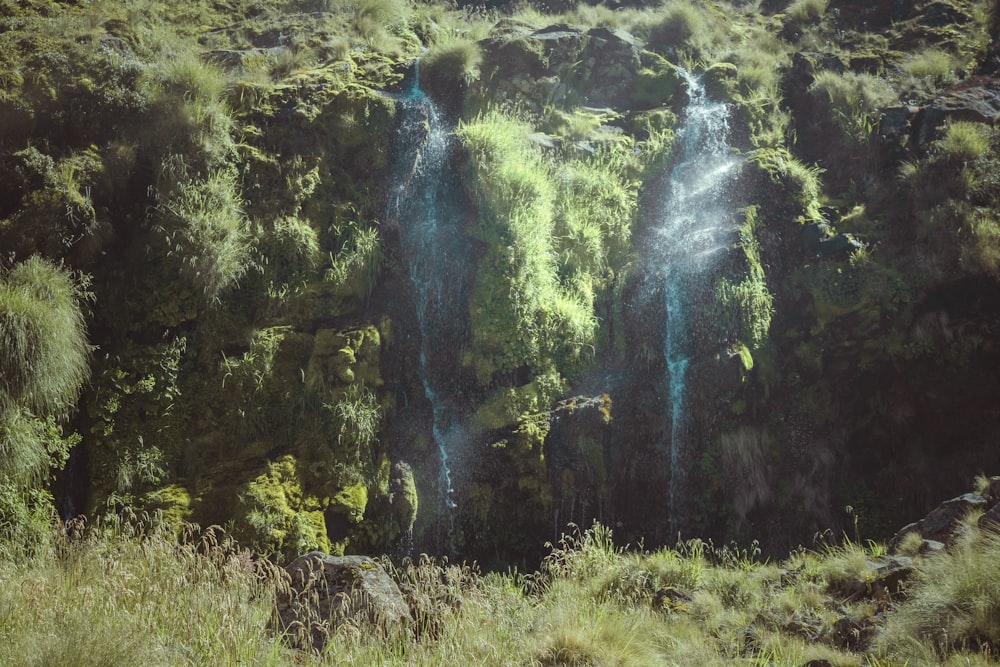 a lush green hillside with a waterfall in the middle of it