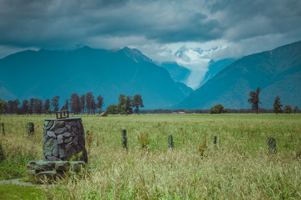 a grassy field with mountains in the background