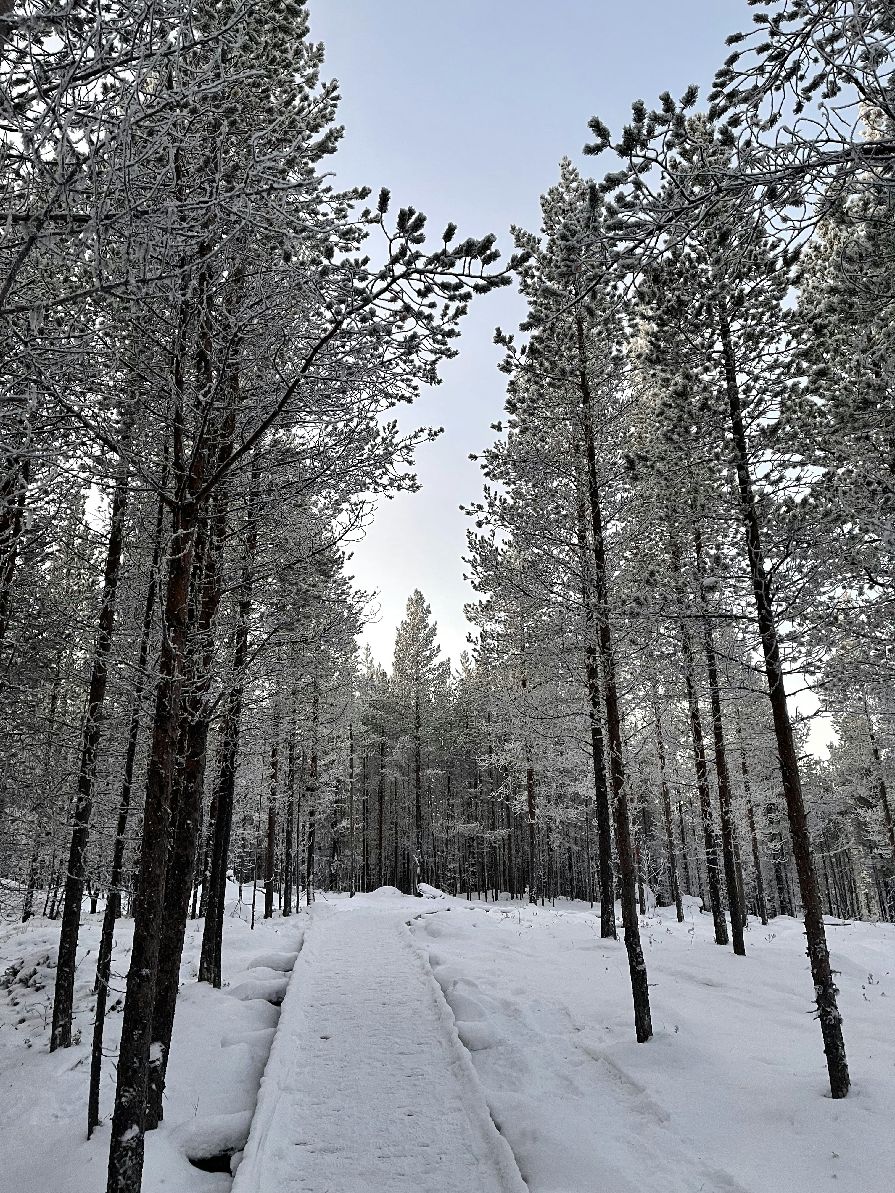 Photo by bentehagens