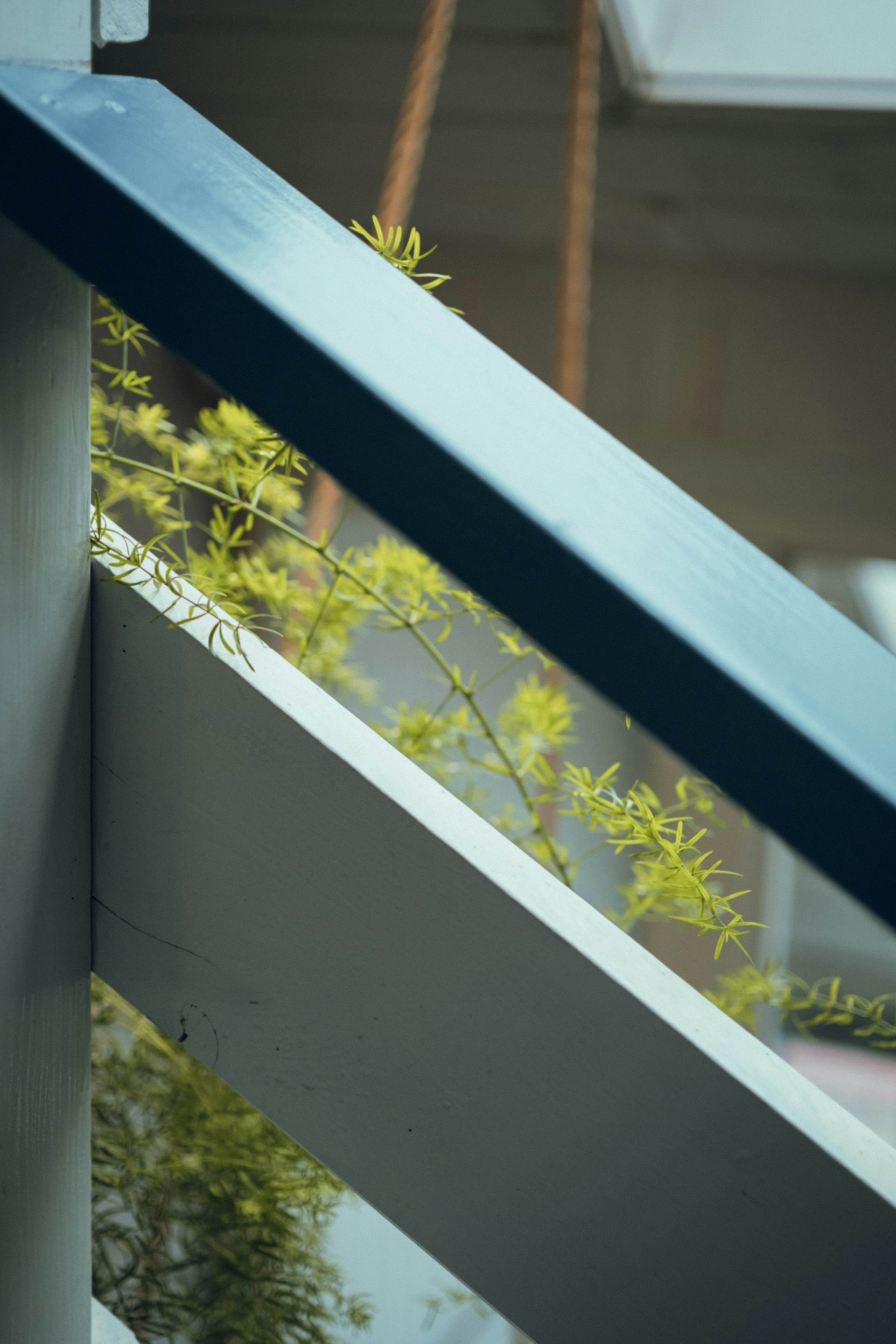 black and white bed linen