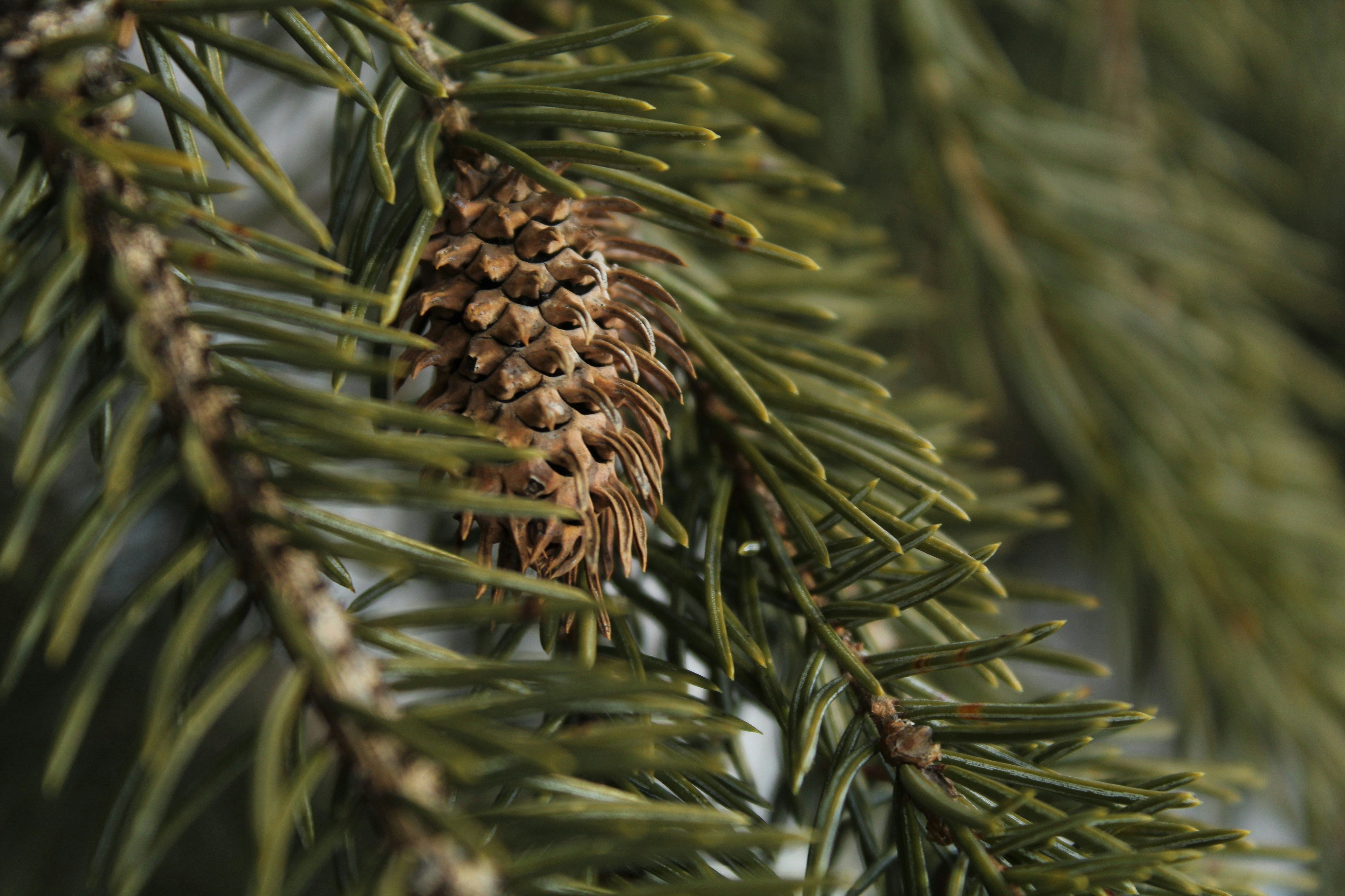 Photo by thephotofoxphoto