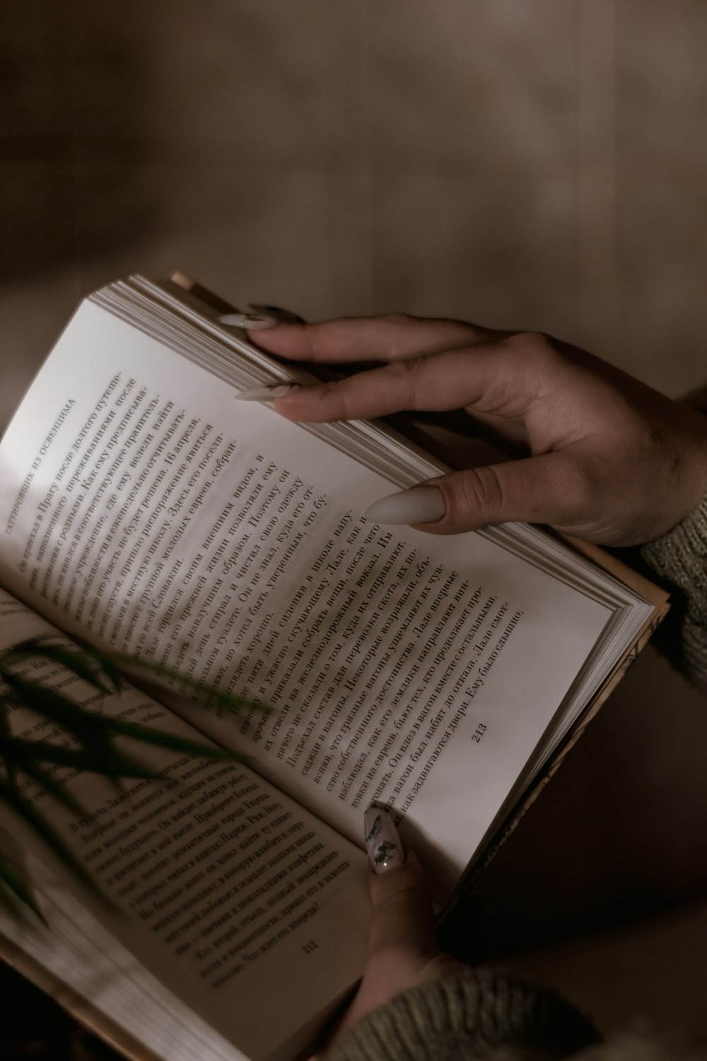 a person holding a book in their hands