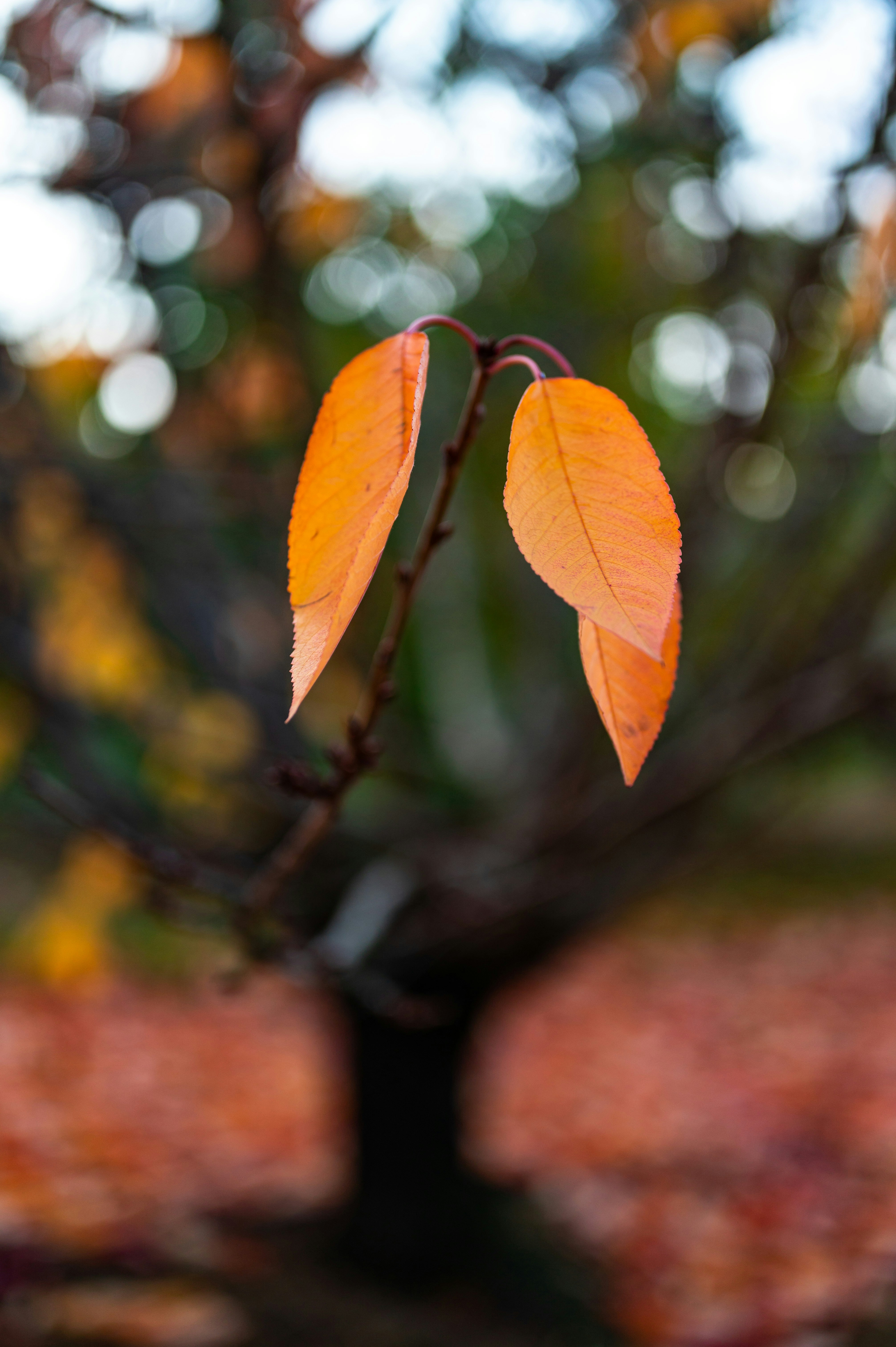 Photo by andreasbrun