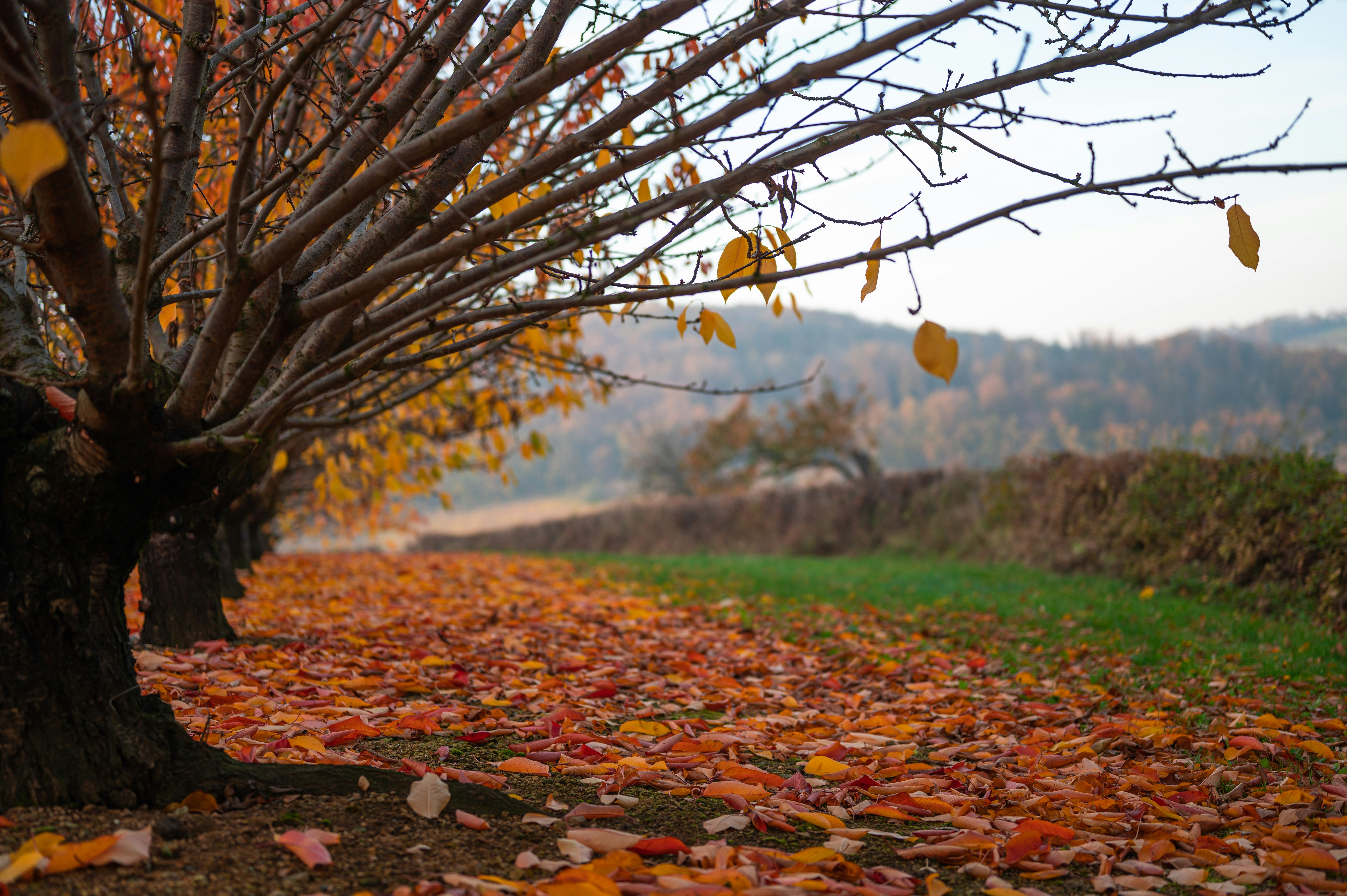 Photo by andreasbrun