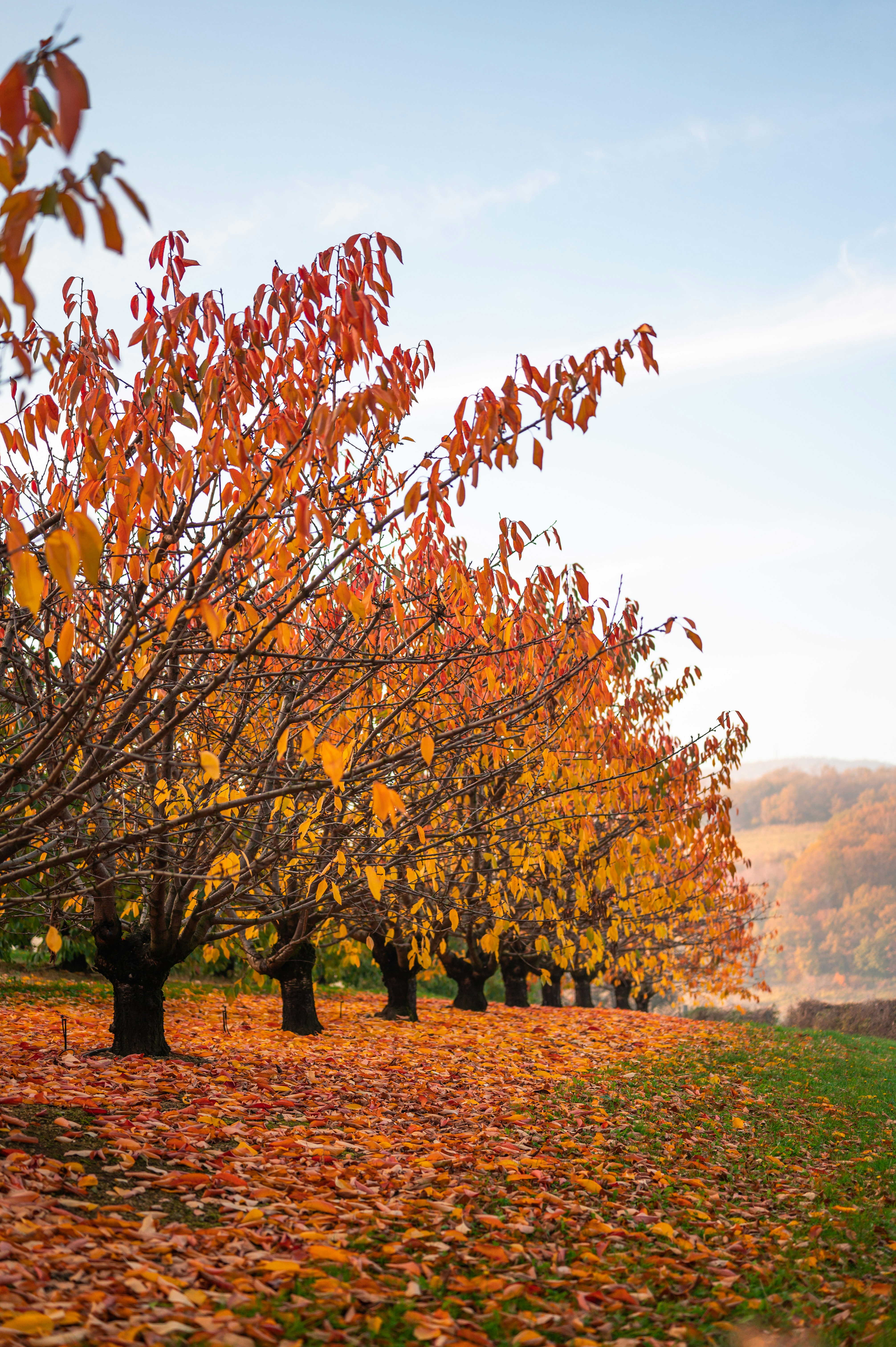 Photo by andreasbrun