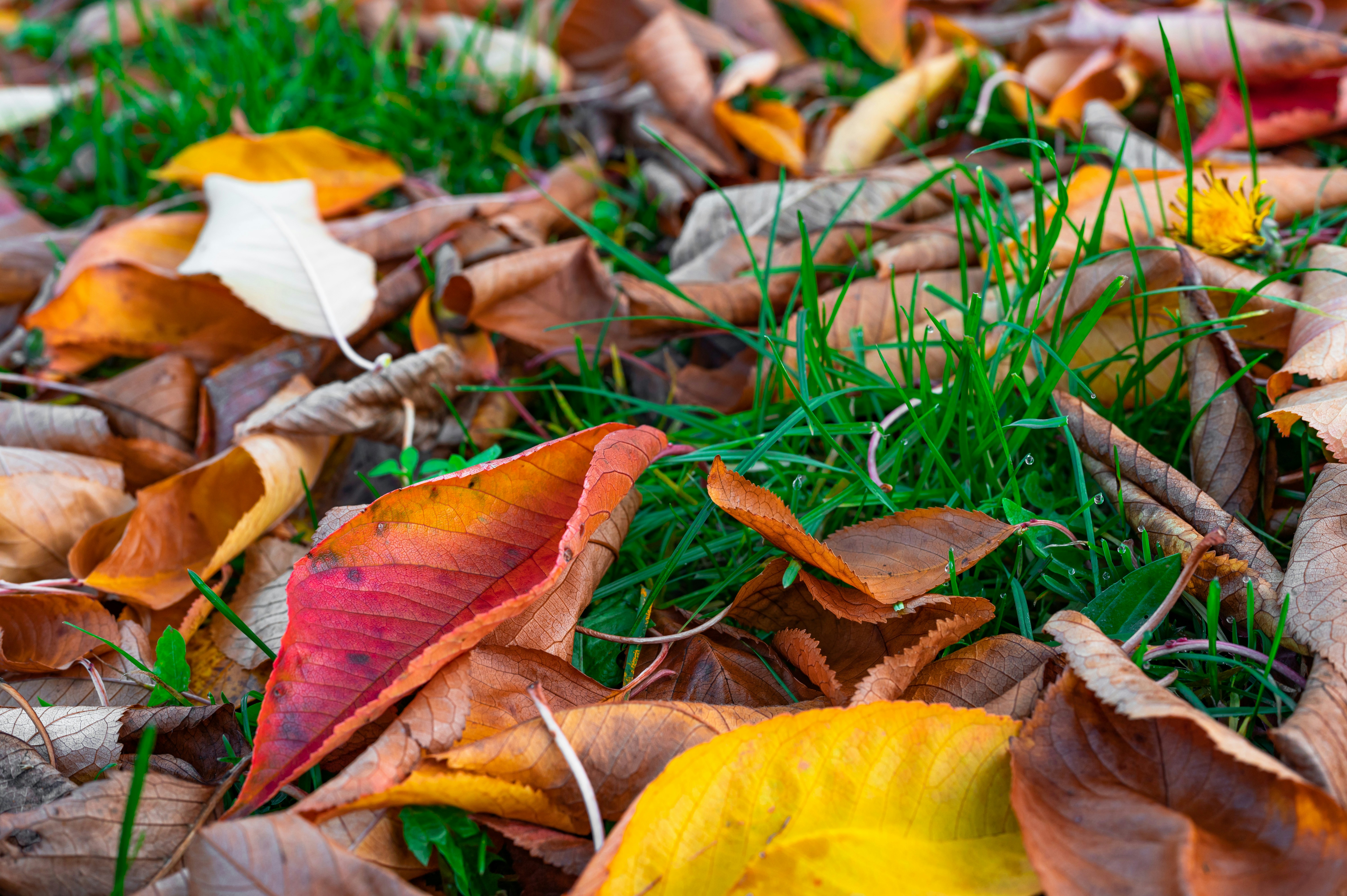 Photo by andreasbrun