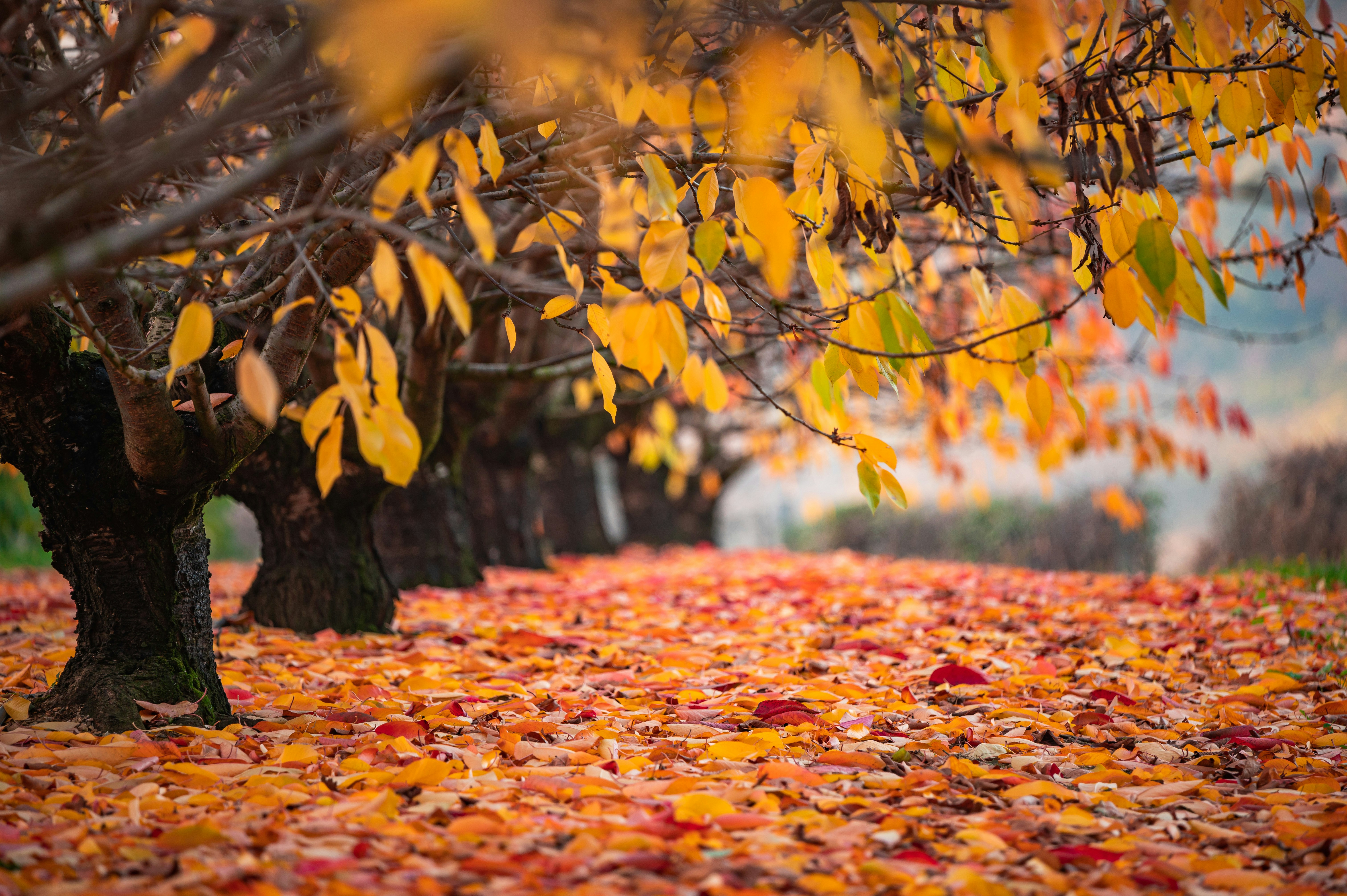 Photo by andreasbrun