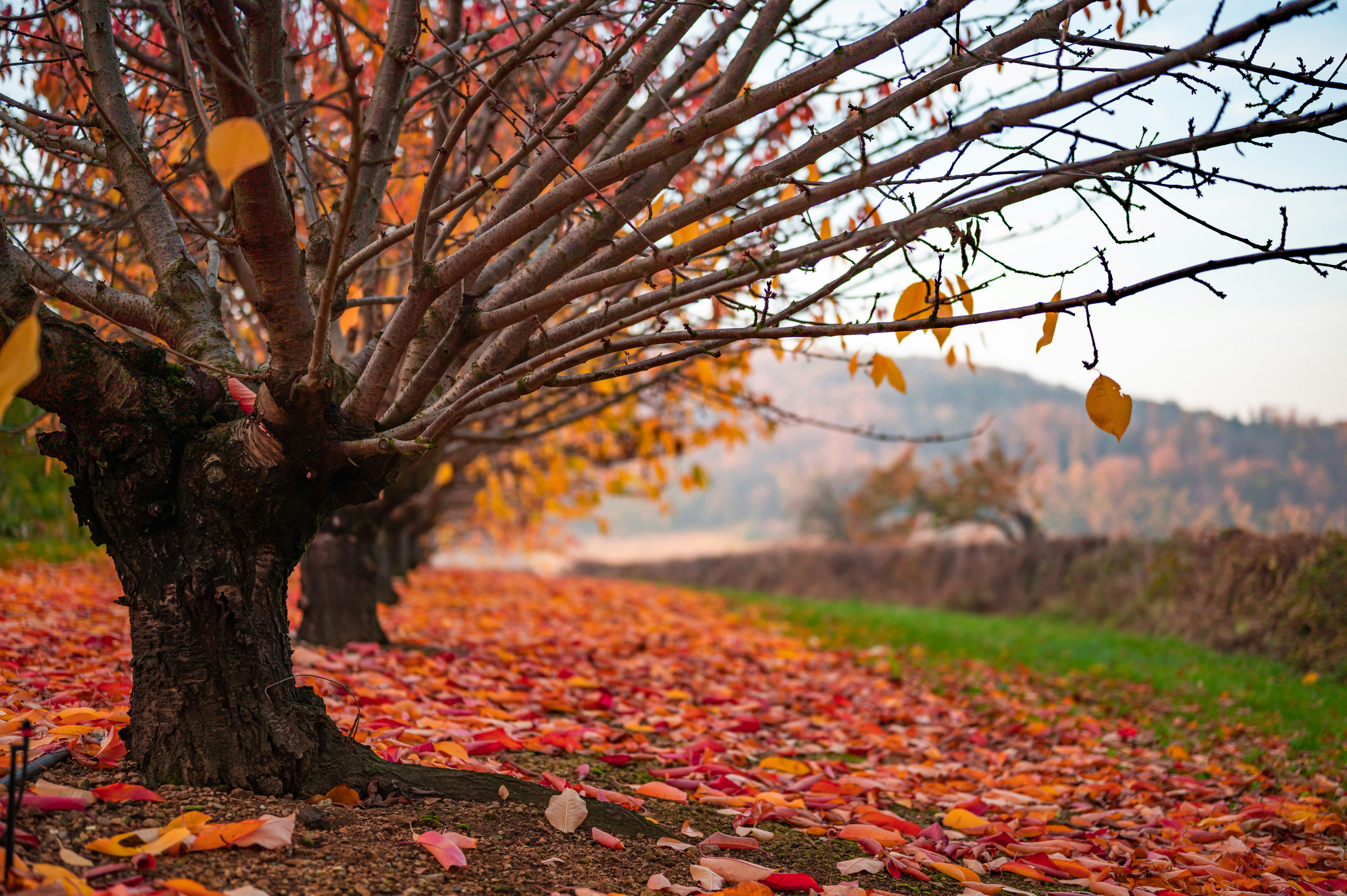 Photo by andreasbrun