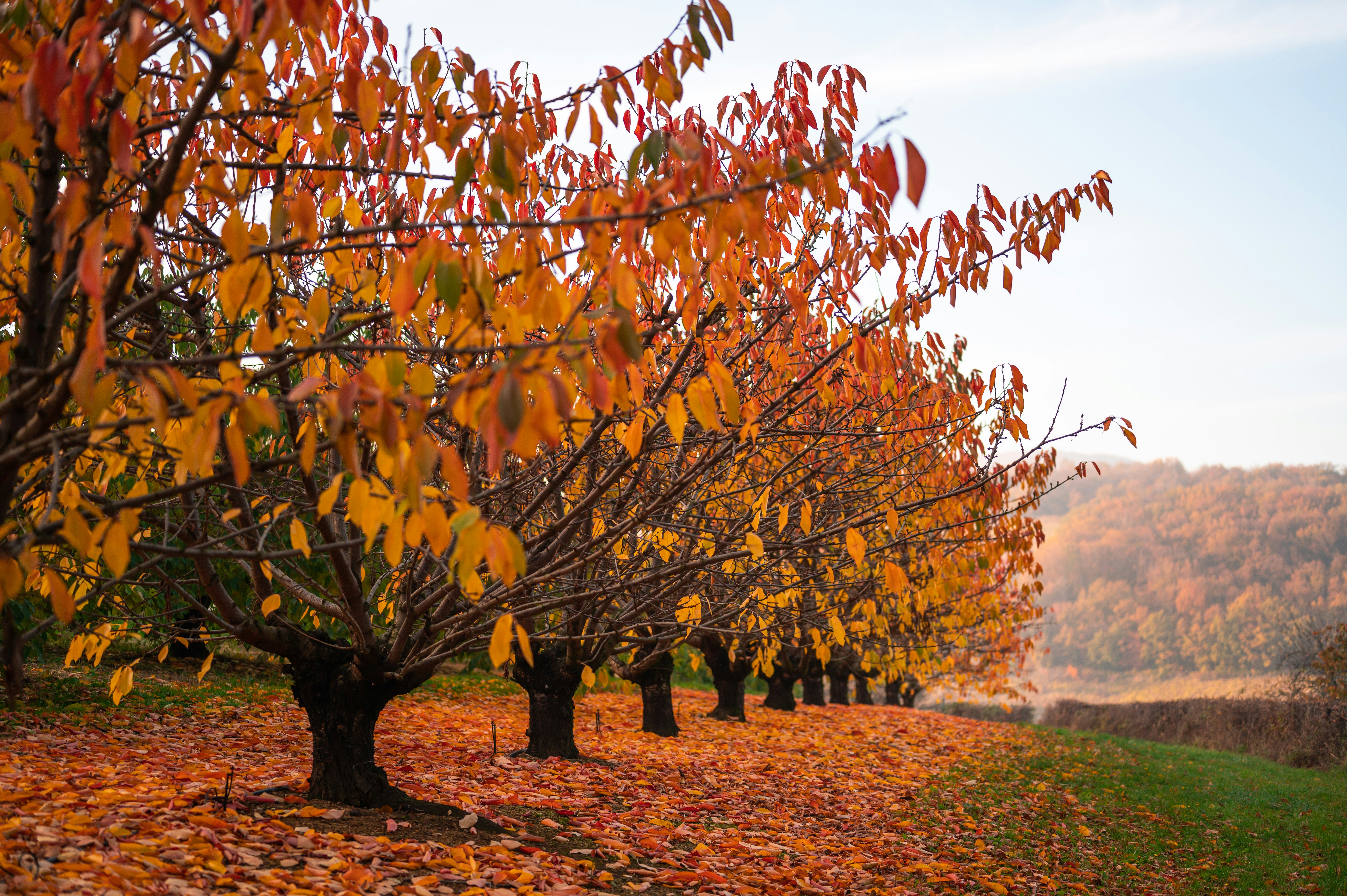 Photo by andreasbrun