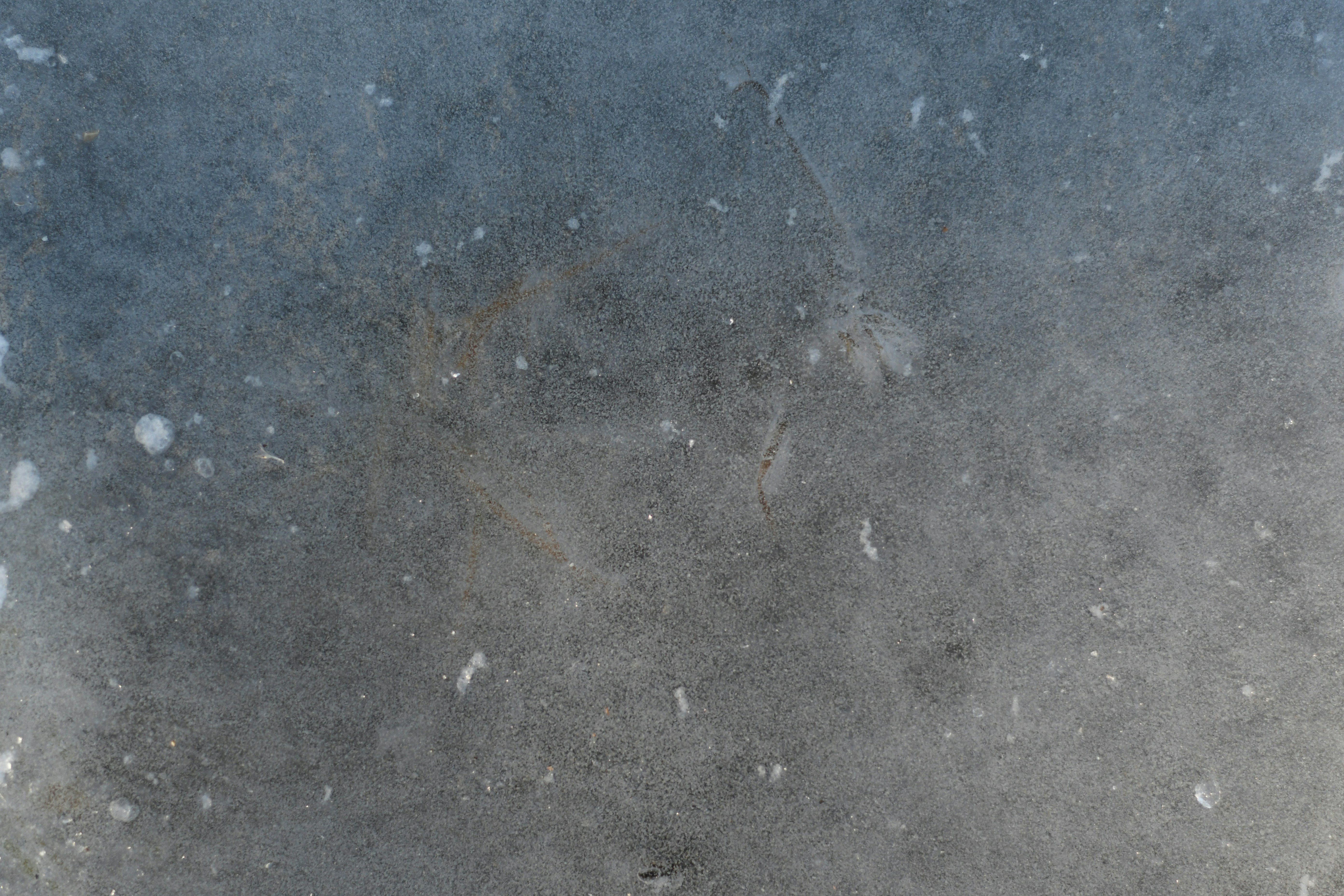 네이버블로그문제점