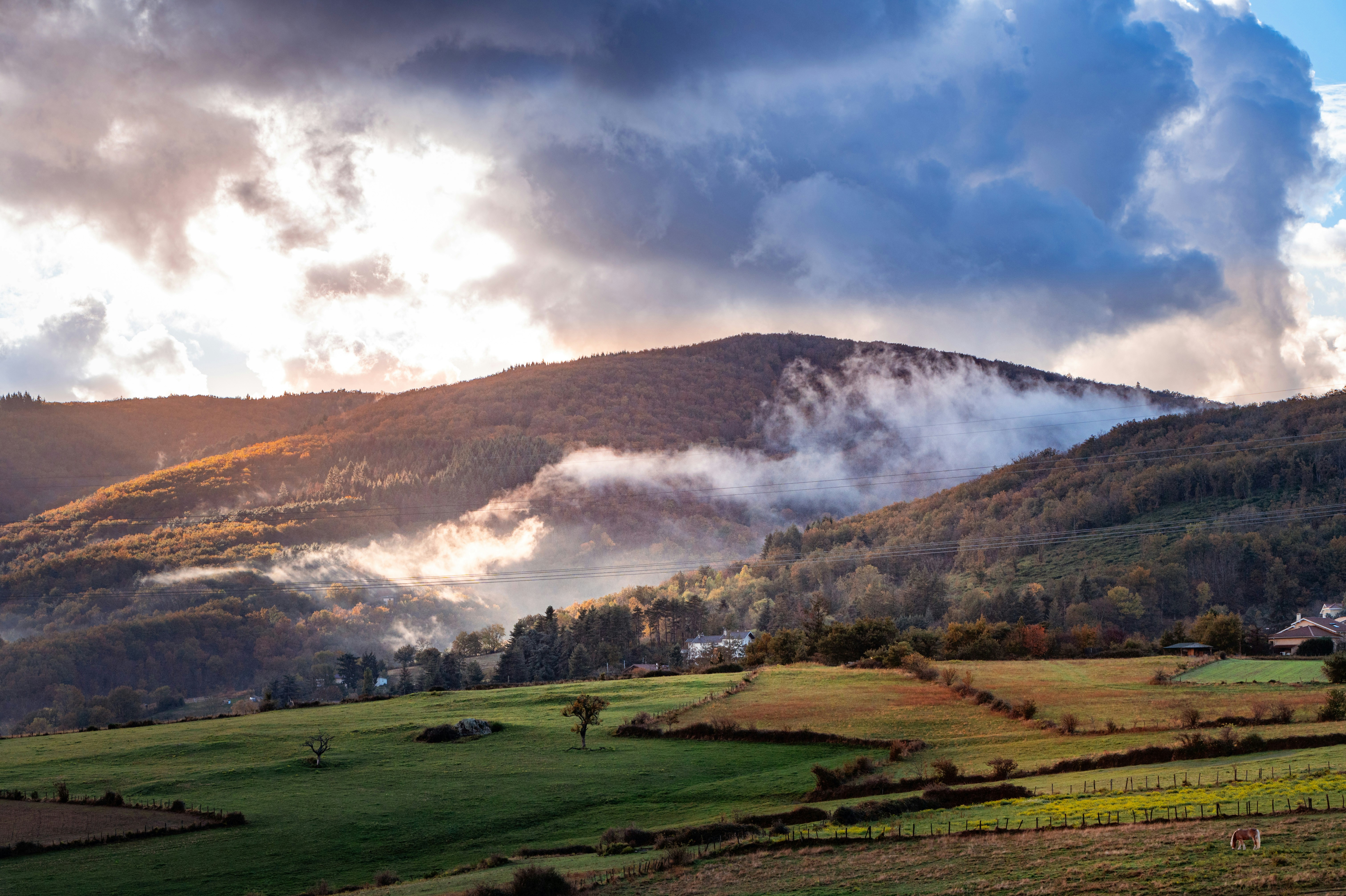 Photo by andreasbrun