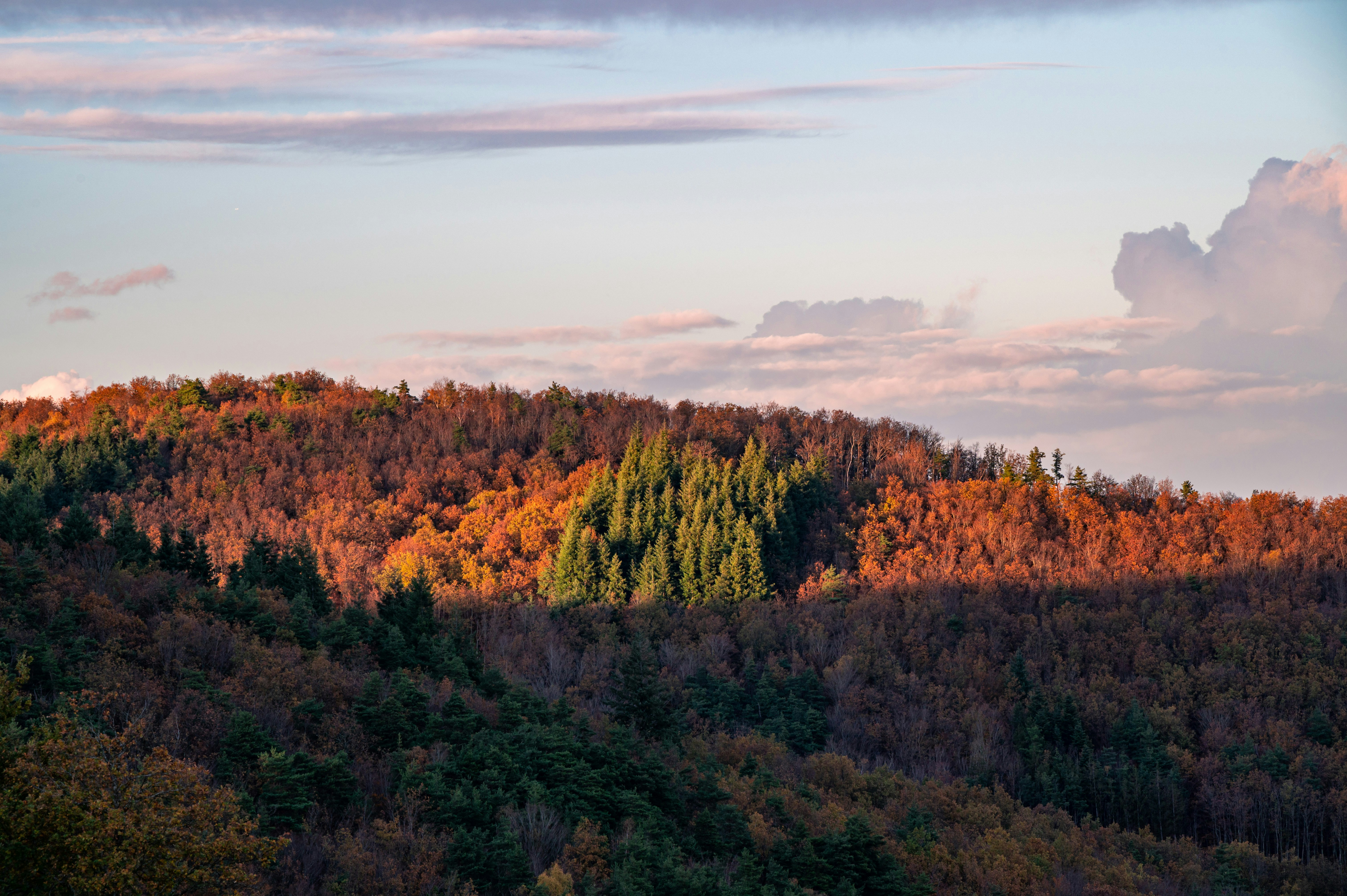 Photo by andreasbrun