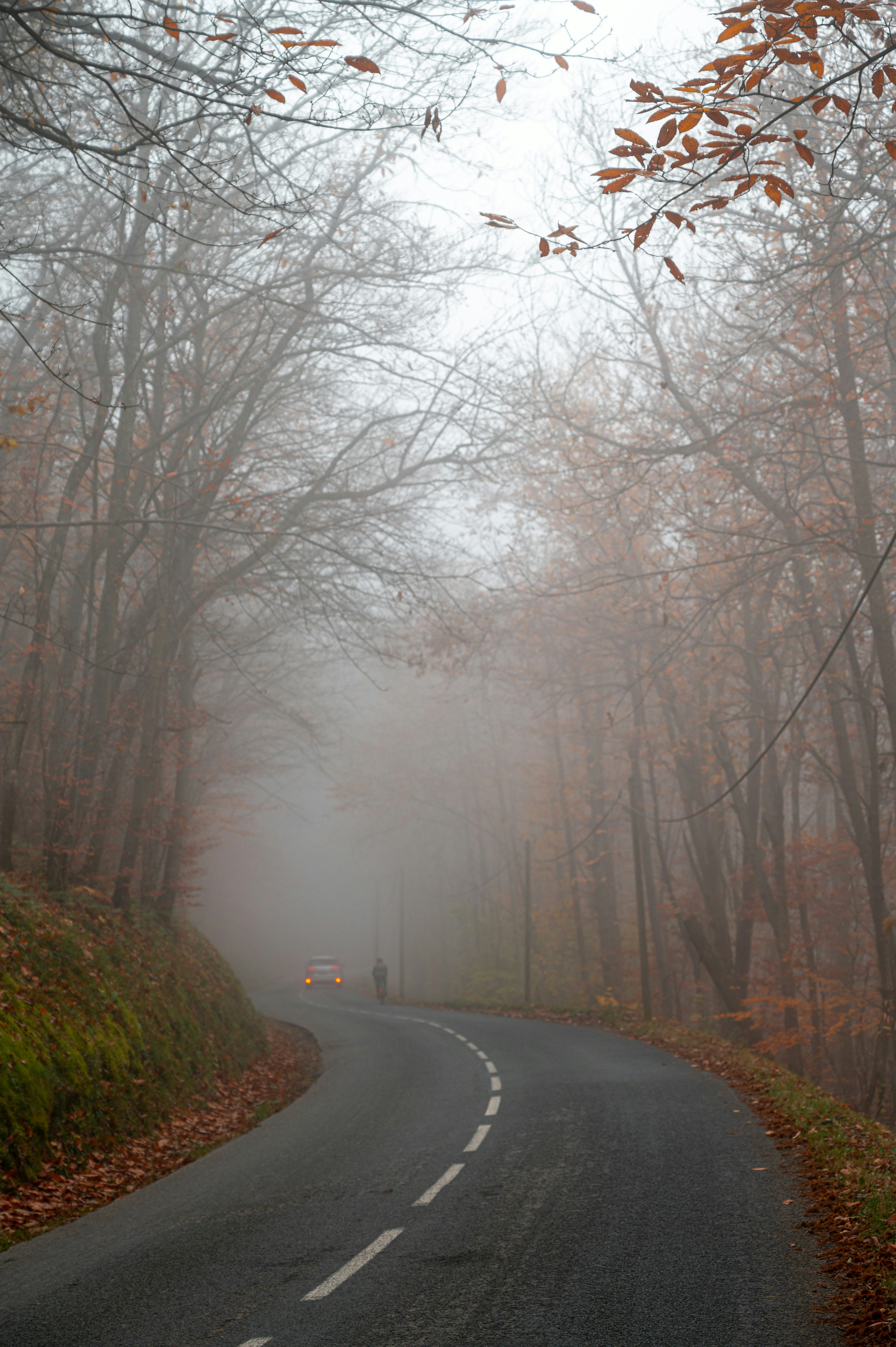 Photo by andreasbrun