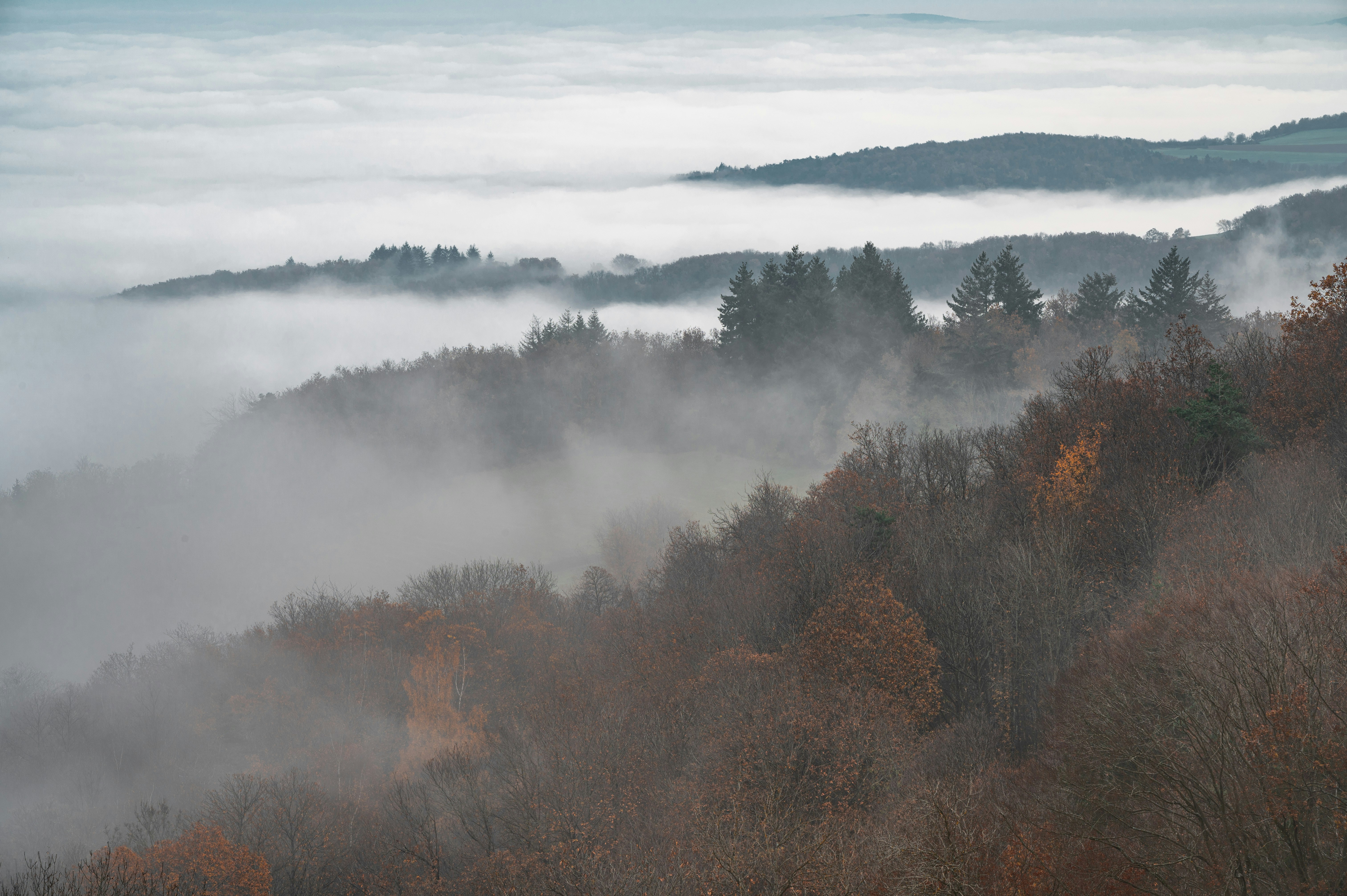 Photo by andreasbrun