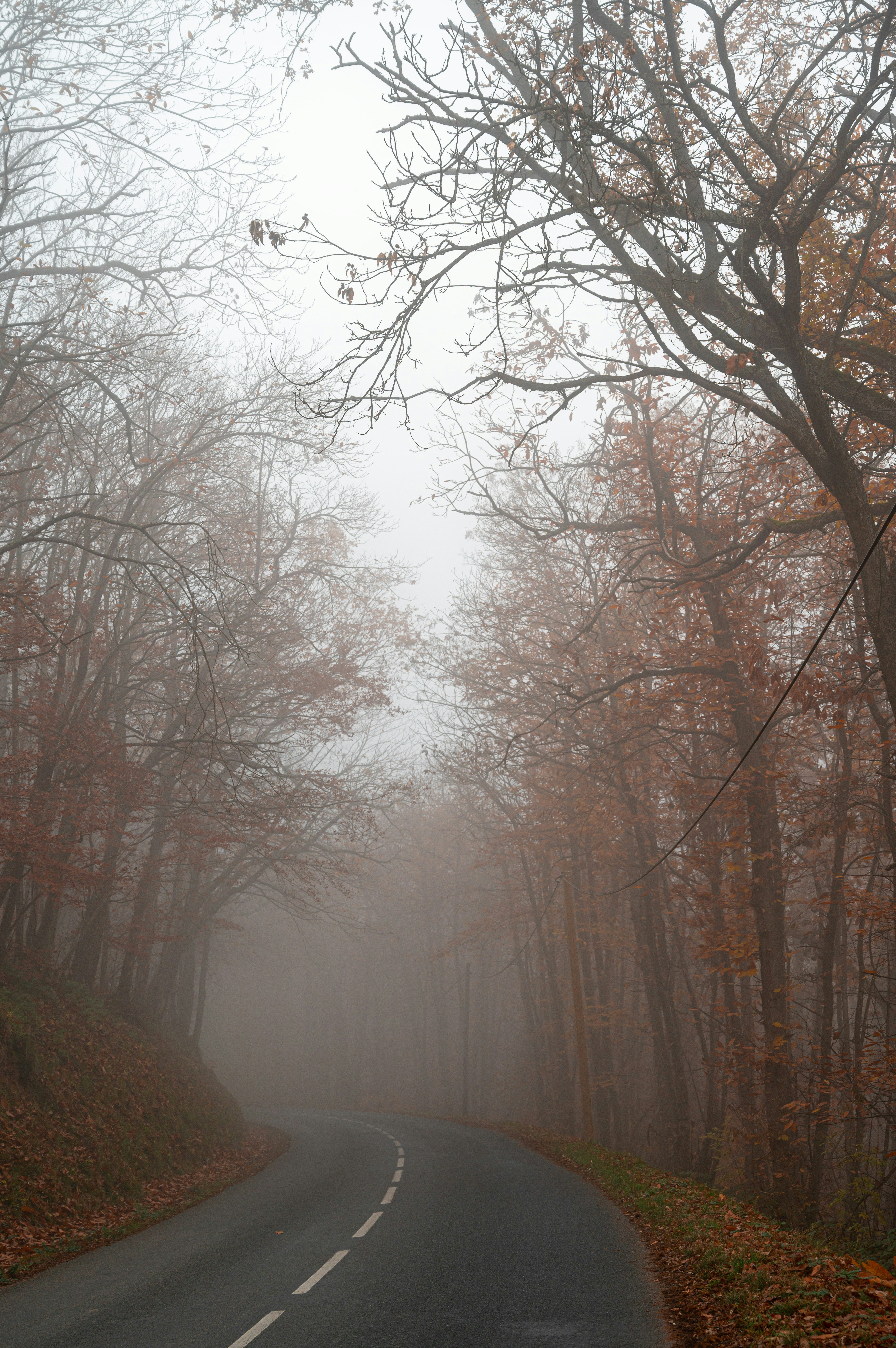 Photo by andreasbrun