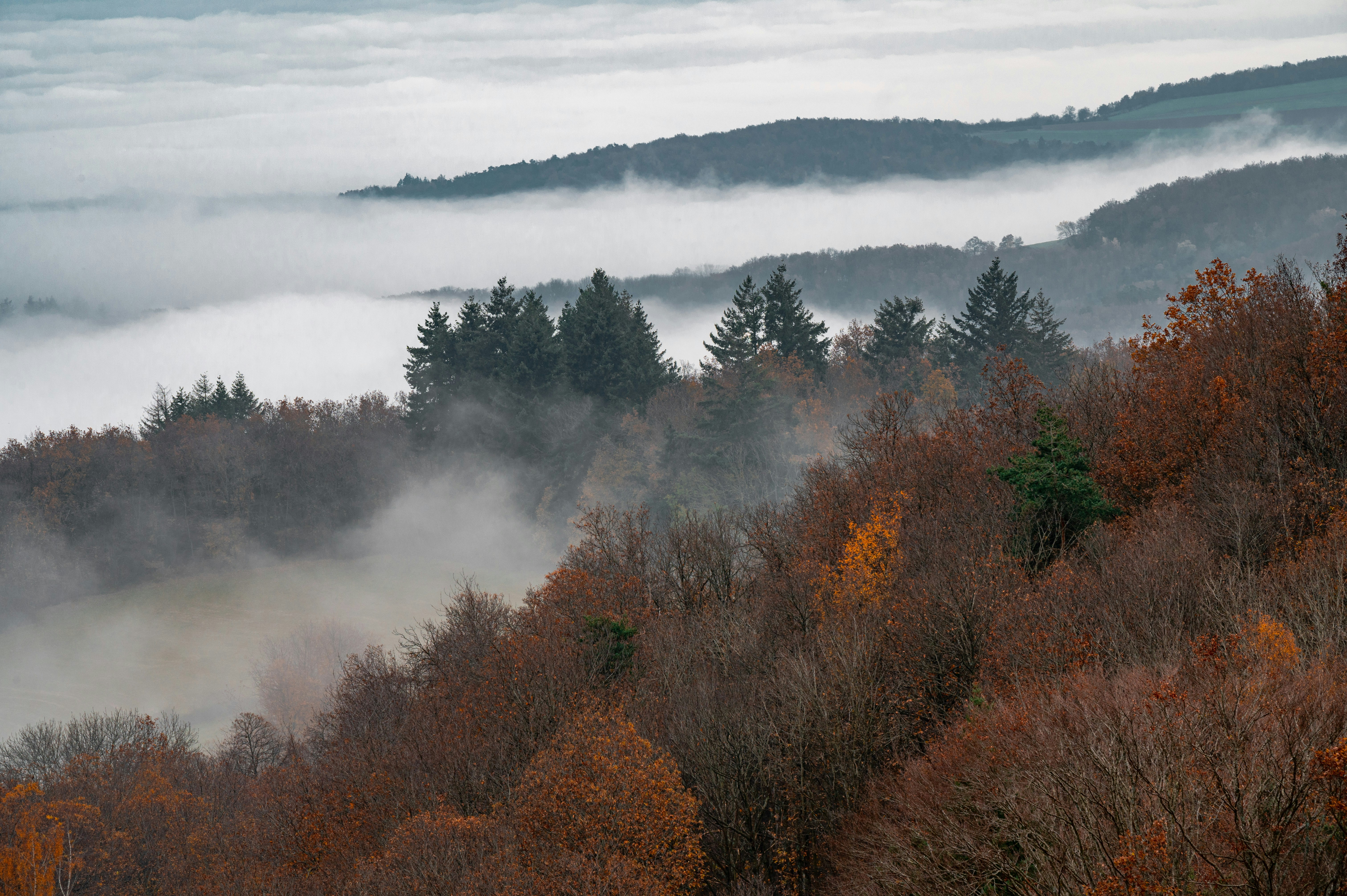 Photo by andreasbrun