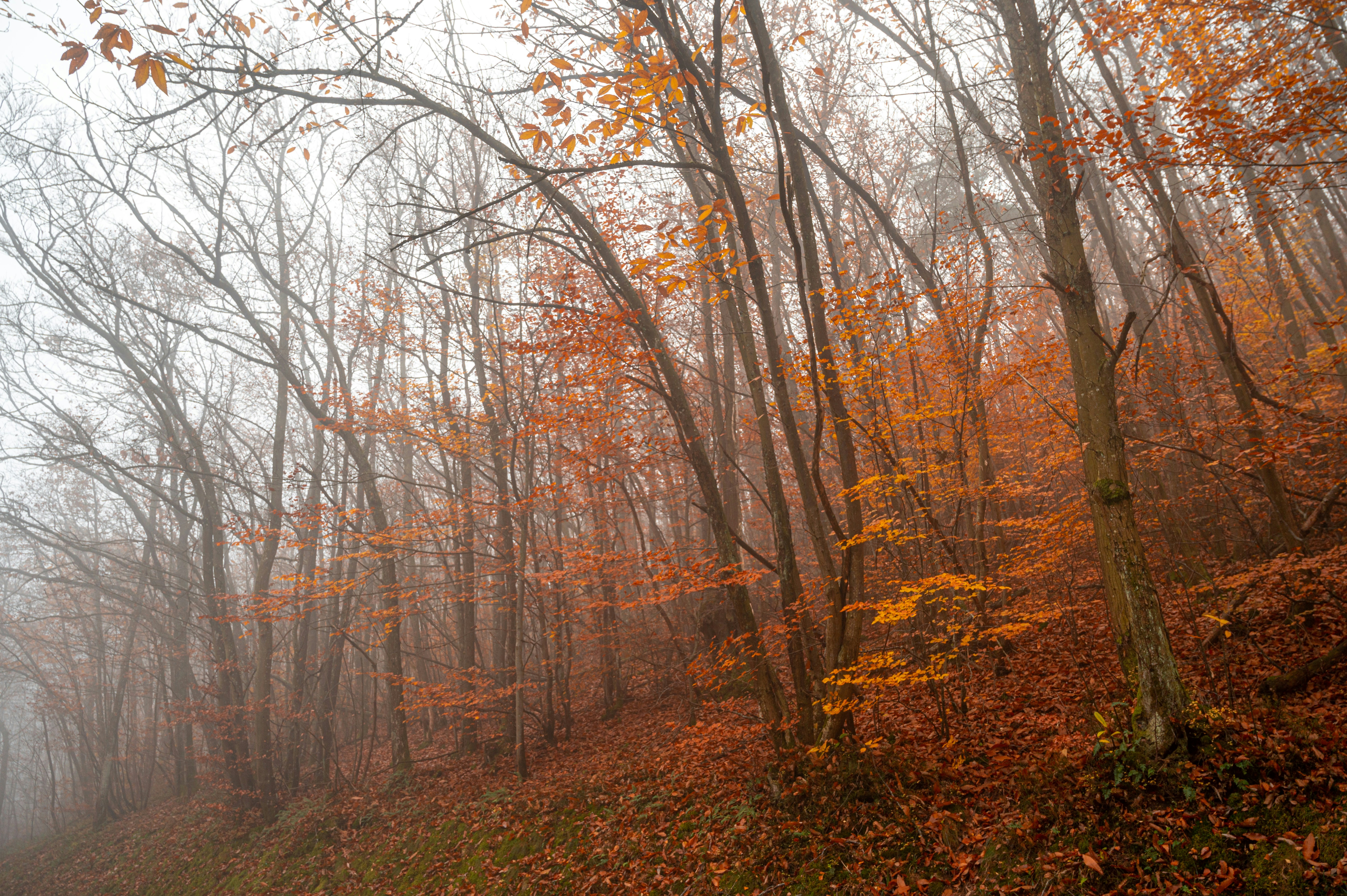 Photo by andreasbrun