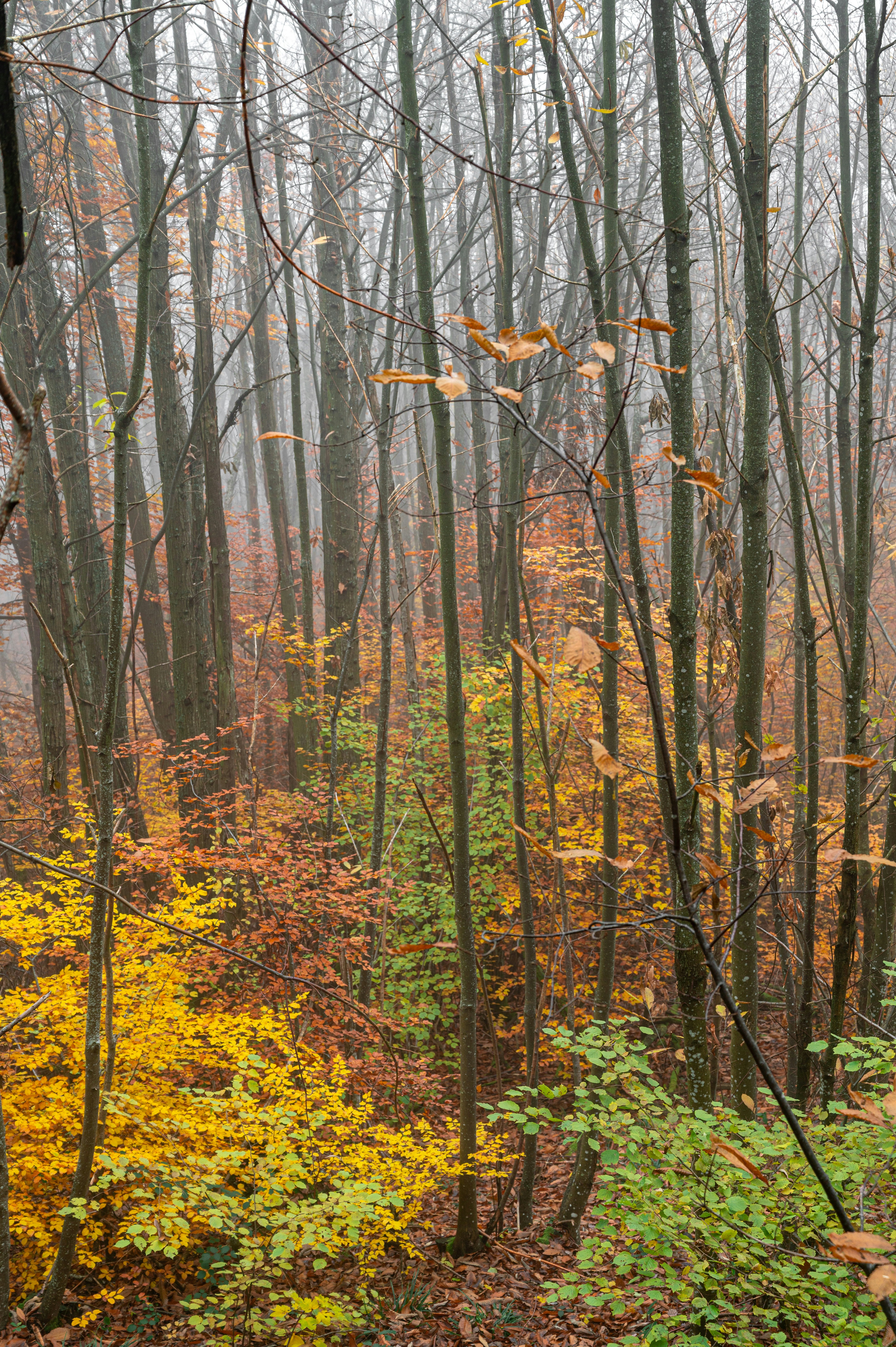 Photo by andreasbrun