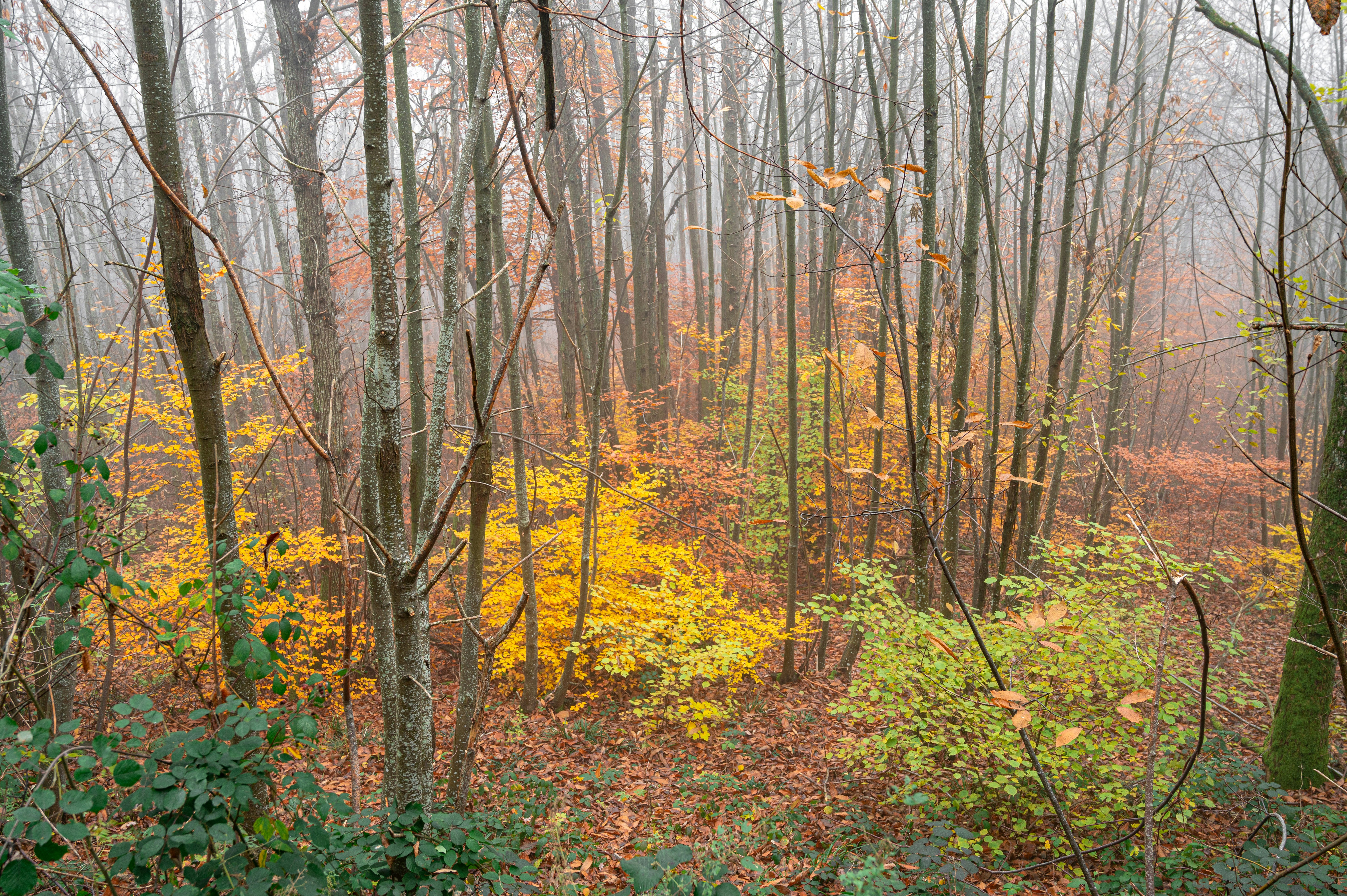 Photo by andreasbrun